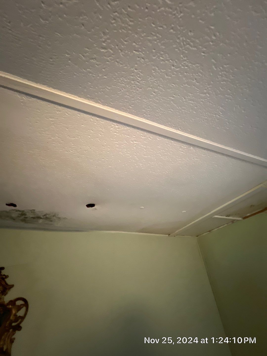 Mold Remediation Palmetto by Ampm Restoration Services