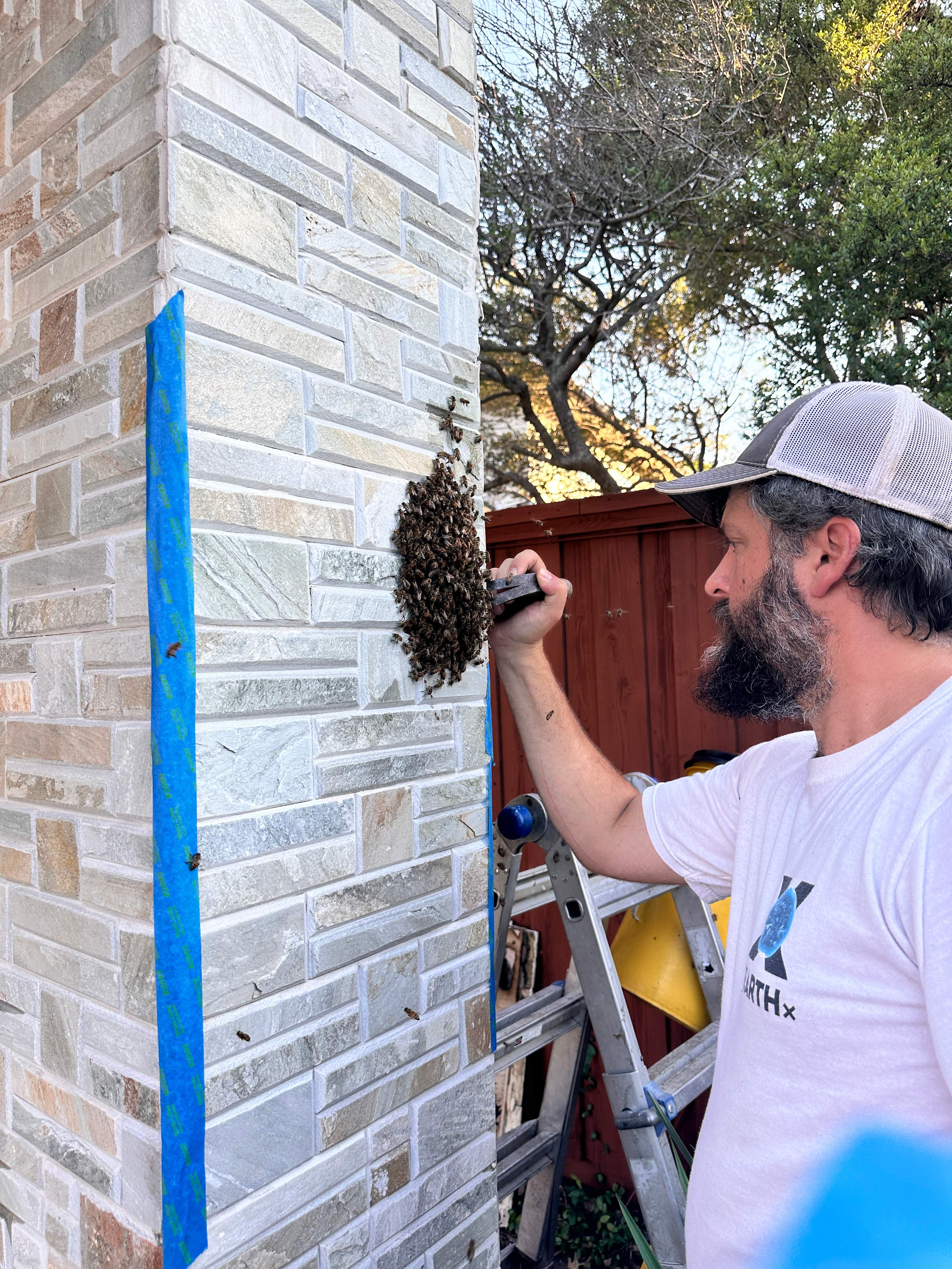 Scary Pergola by Rockwall Honey Bee Company