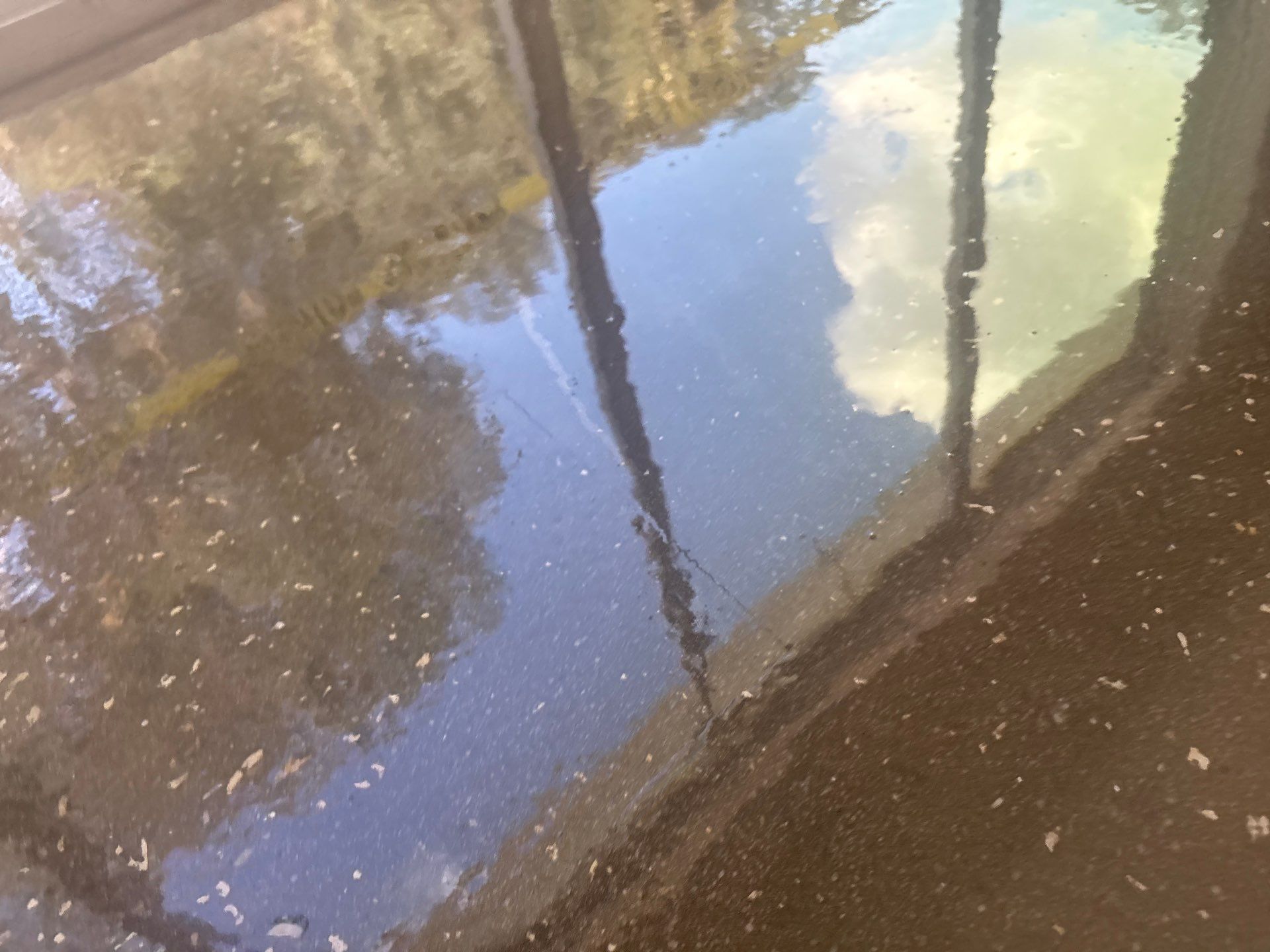 Innovative Concrete Coatings FL featured photo.