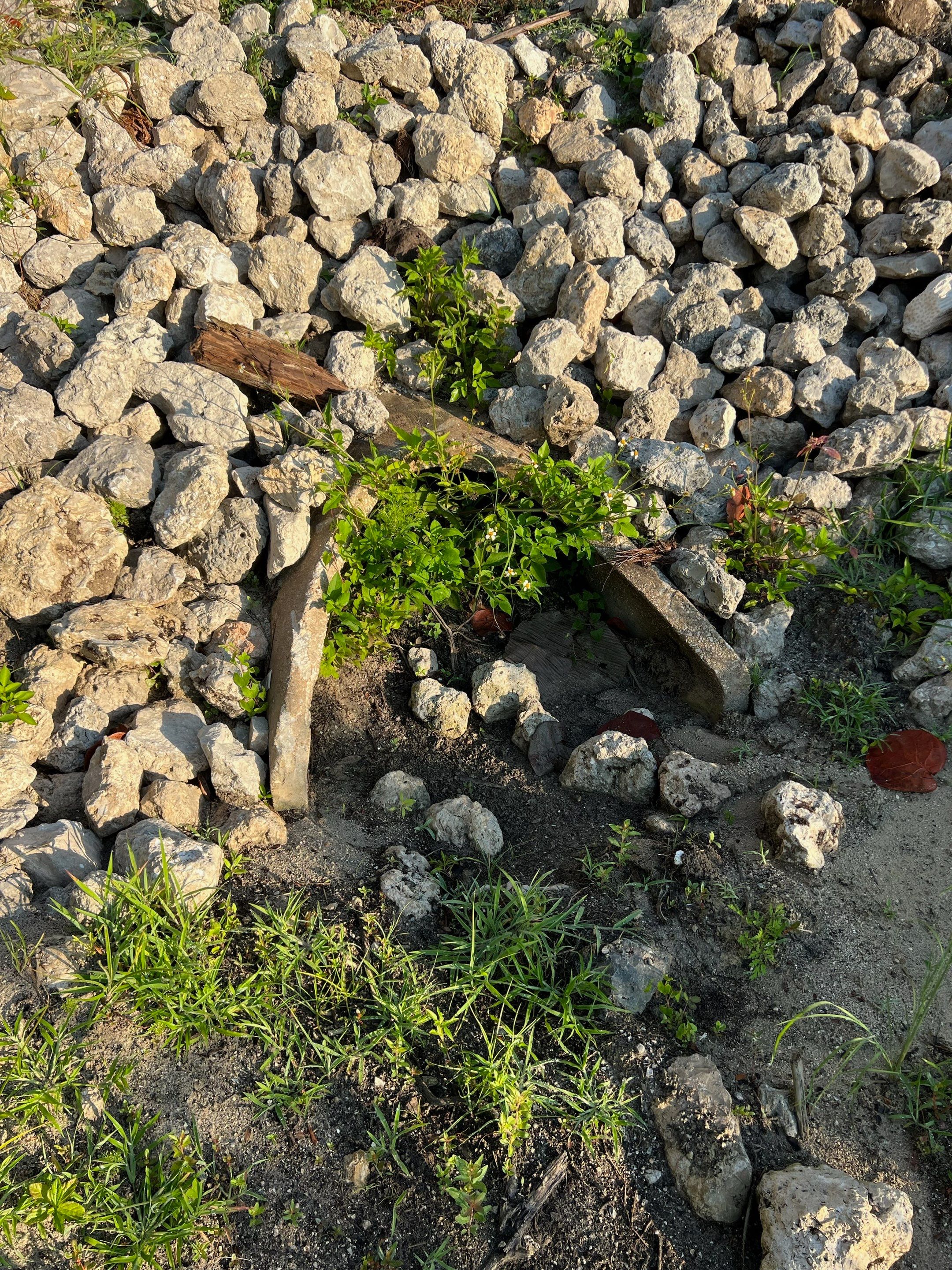 Community Storm Water System Maintenance by APS Power & Water