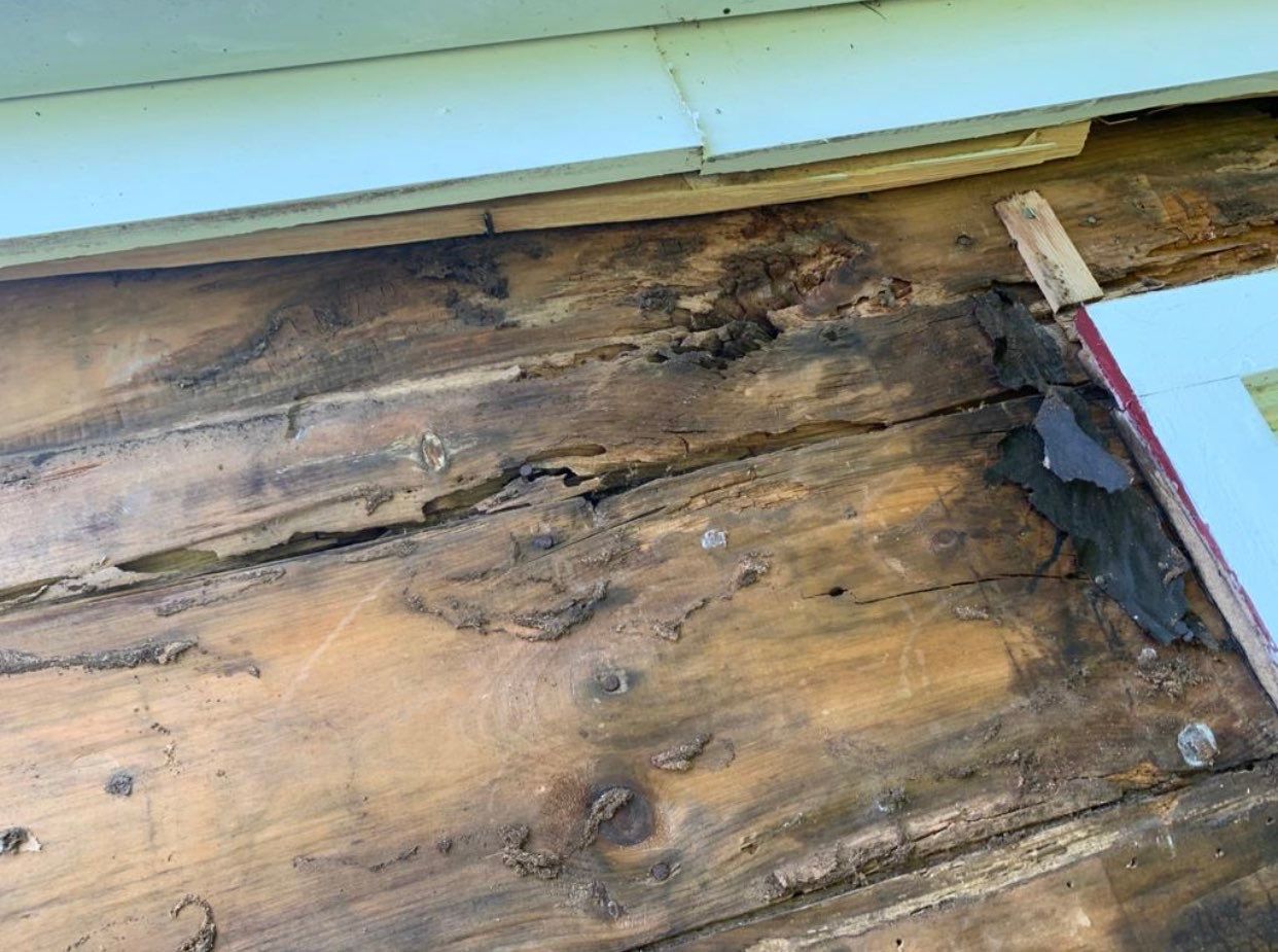 Siding Installation using Certainteed Cedar Impressions by A Plus Exterior