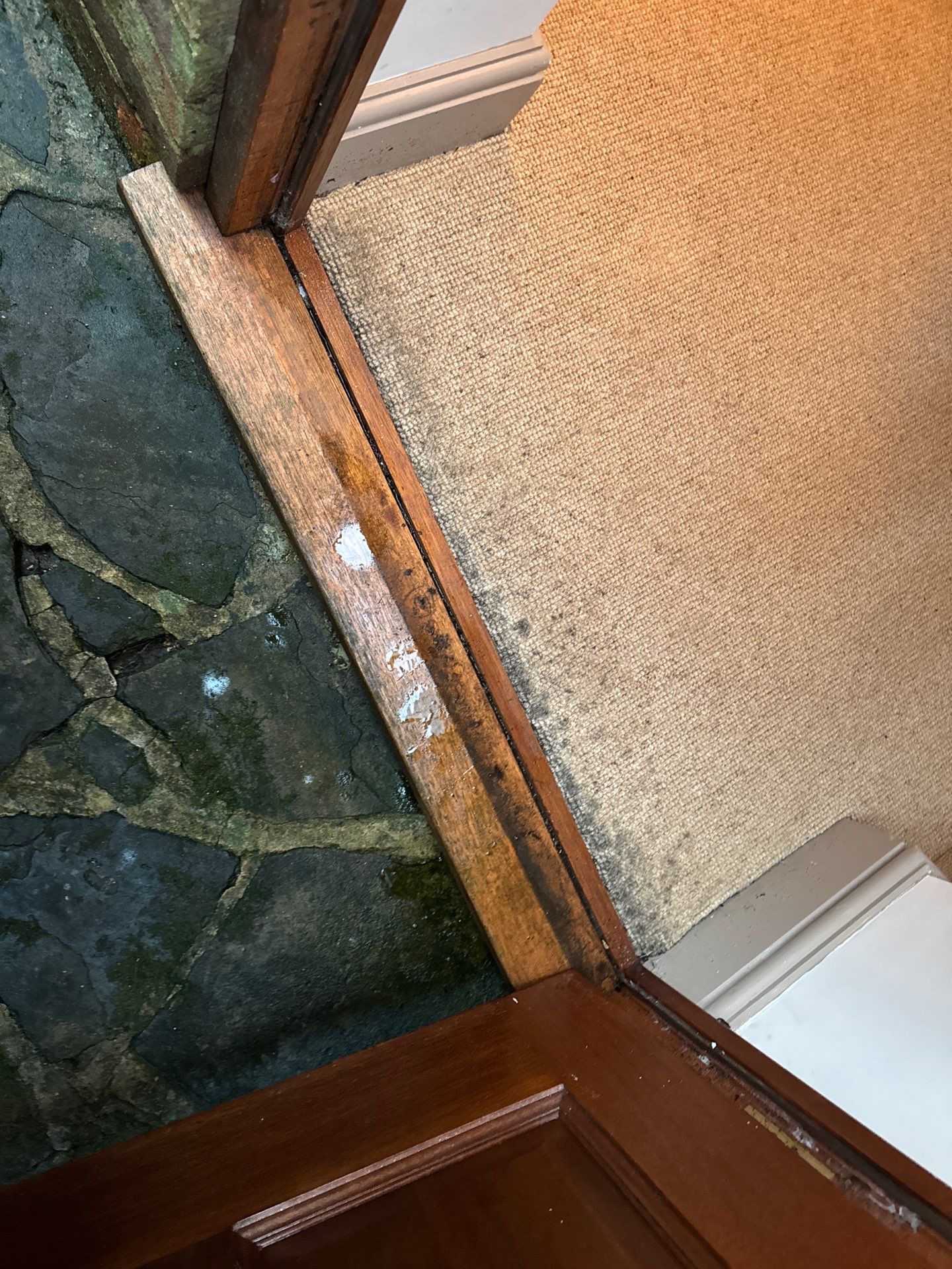 Roof Clean  - Moss Removal - Gutter Clean using Honda 15lpm Low Pressure Washing Machine by Ges Exterior Cleaning ltd