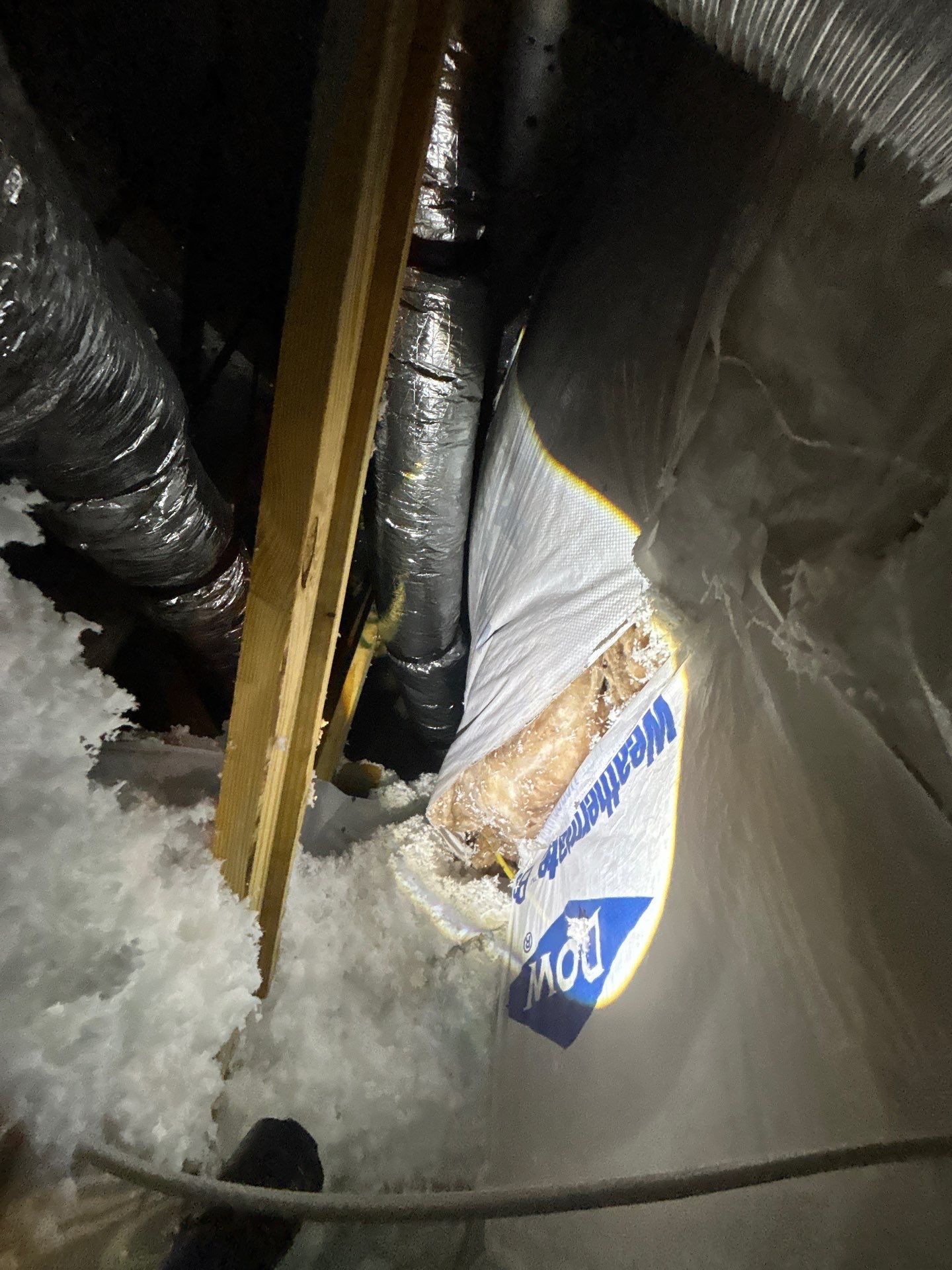 Mold Removal and treatment in Brandon, Florida by Ampm Restoration Services