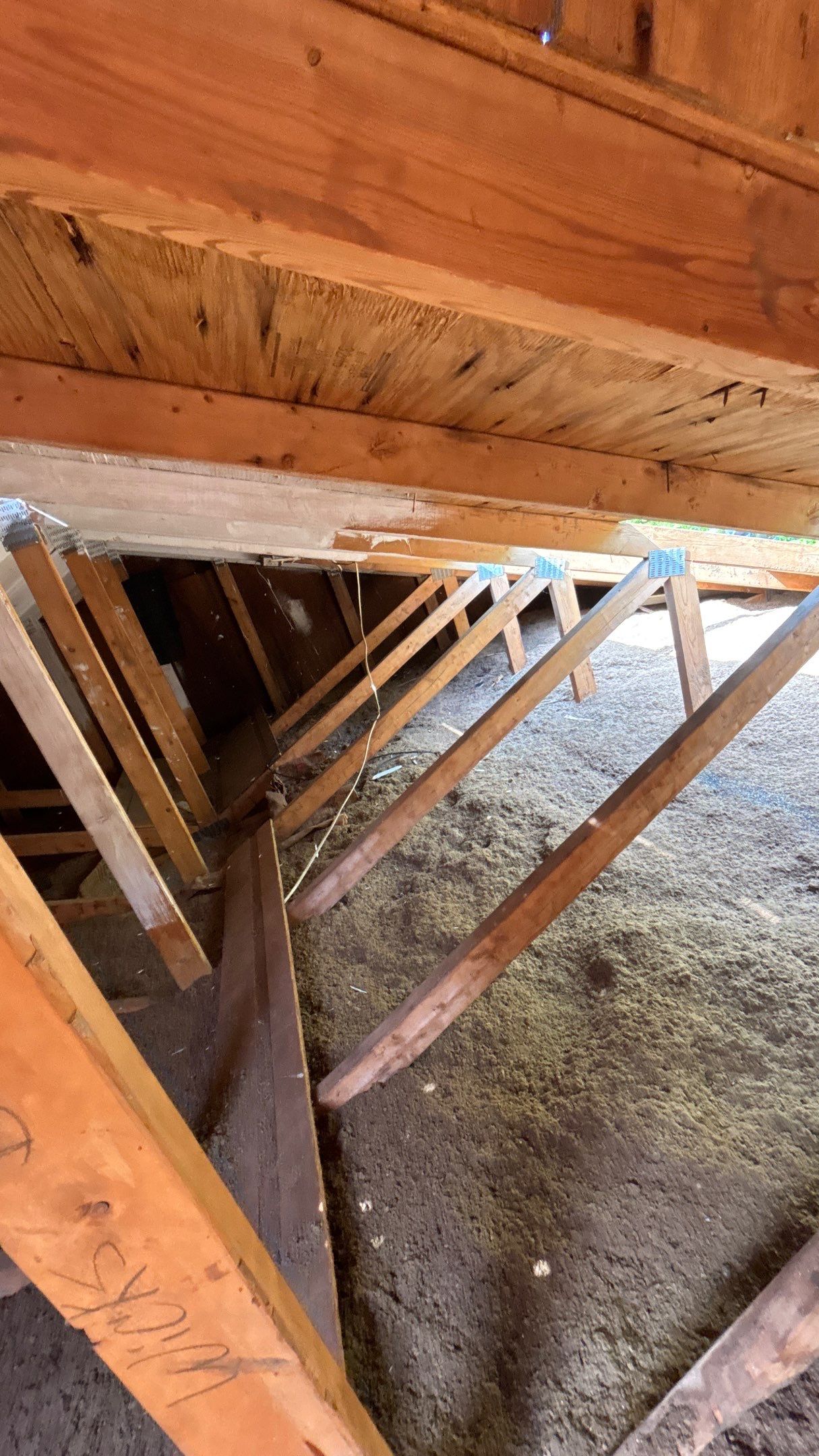 Roof Replacement using Owens Corning Tru Definitions by 180 Contractors