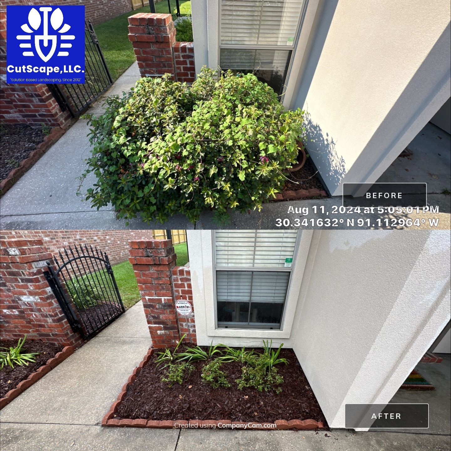 DEMO / PREP / INSTALL / TRIM / MULCH INSTALL by CutScape, LLC.