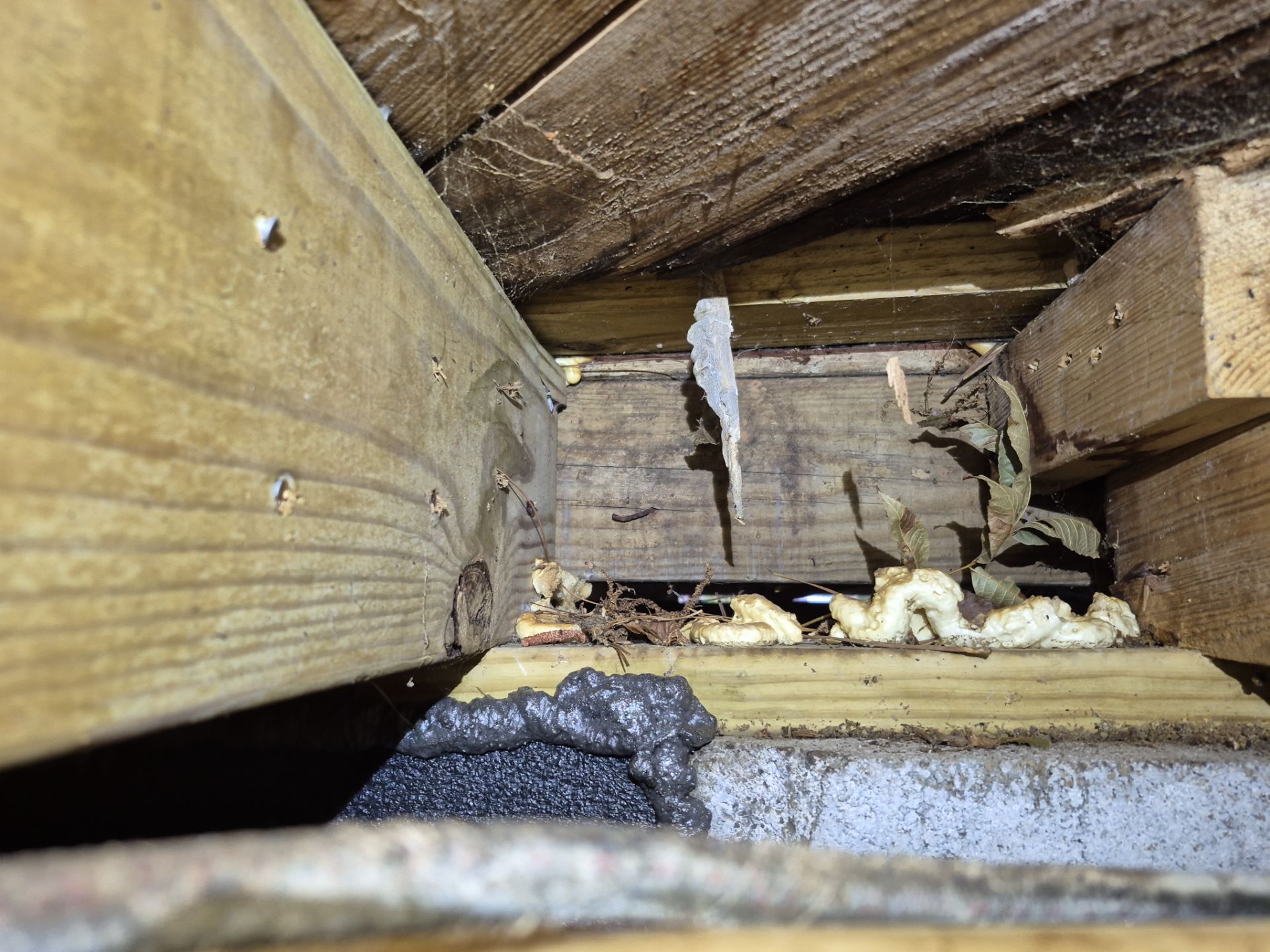 Project in Norfolk by Patriot Crawl Space Repairs