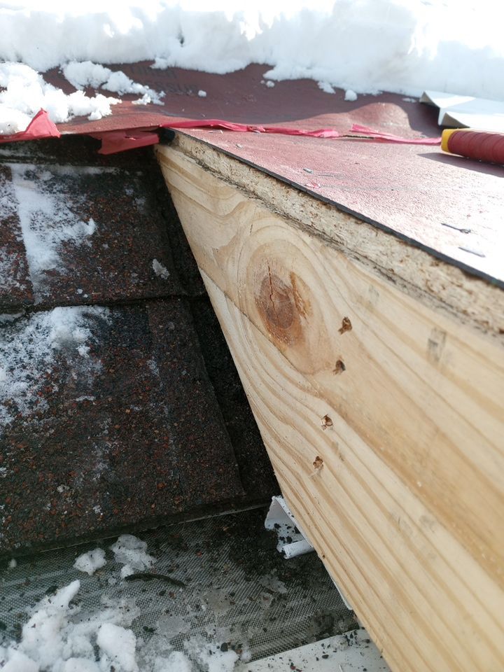 Tree Destroyed Patio Room by Absolute Roofing and Construction