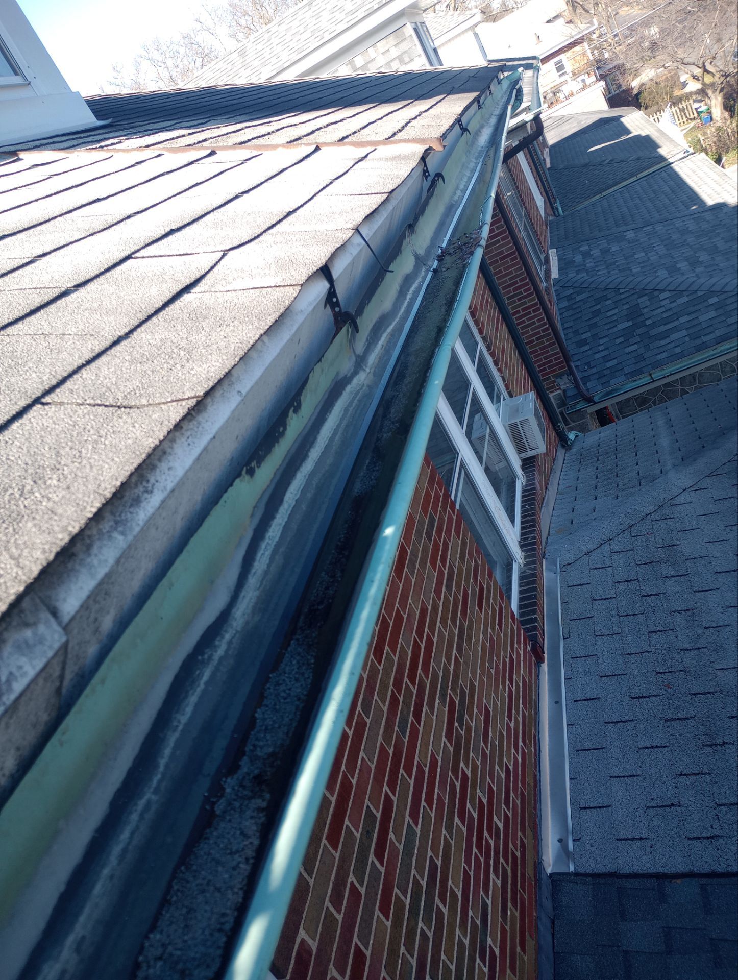 Silver Birch Shingles by Reimagine Roofing
