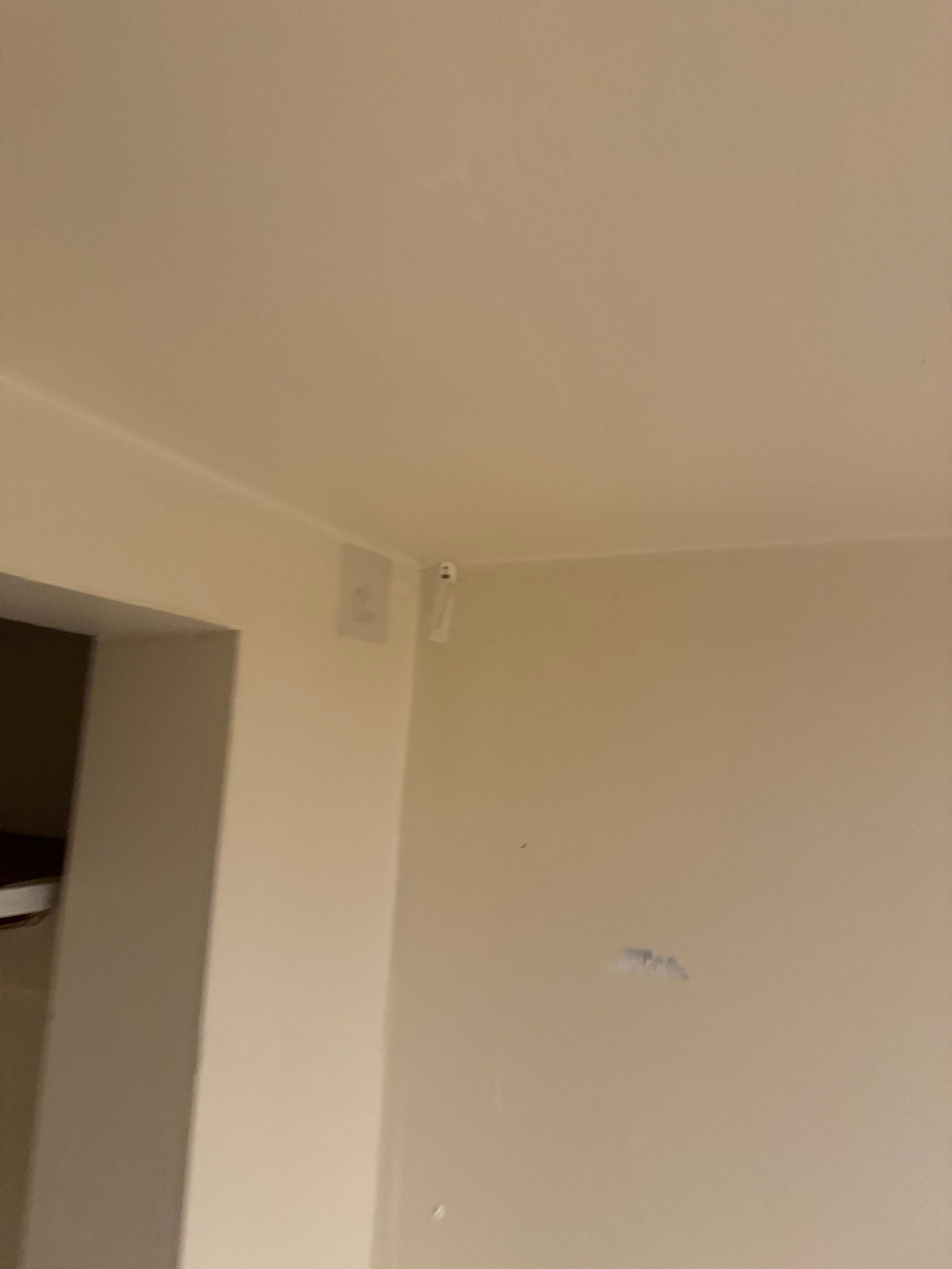 Painting by YVR Construction Group