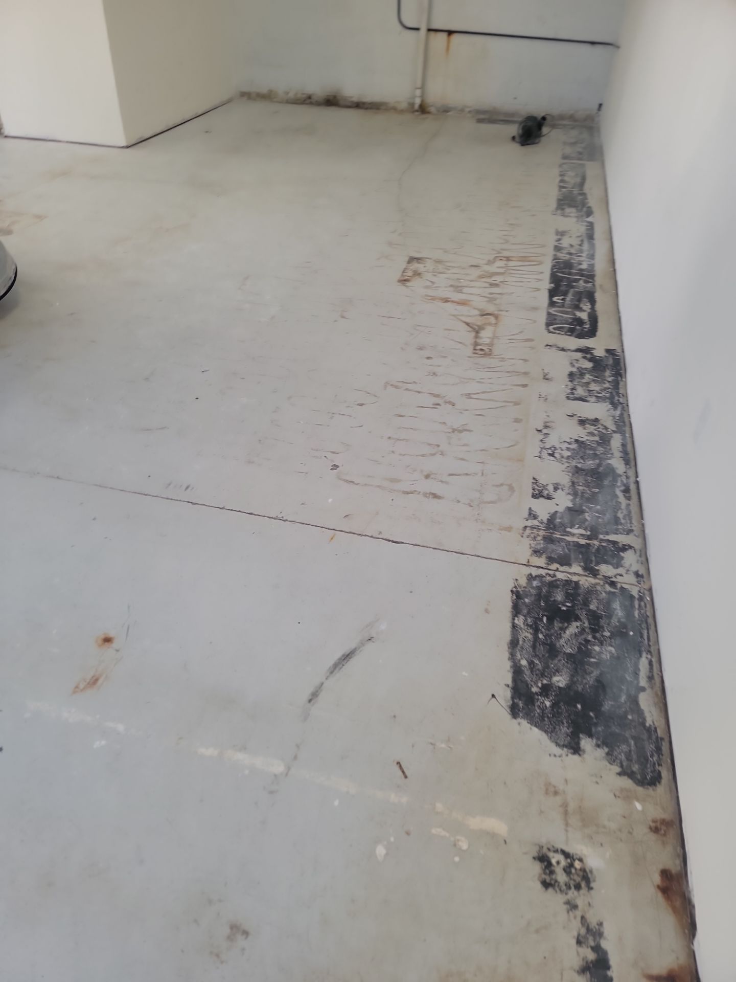 Central Coast Carts Show Room Floor by MGP Coatings
