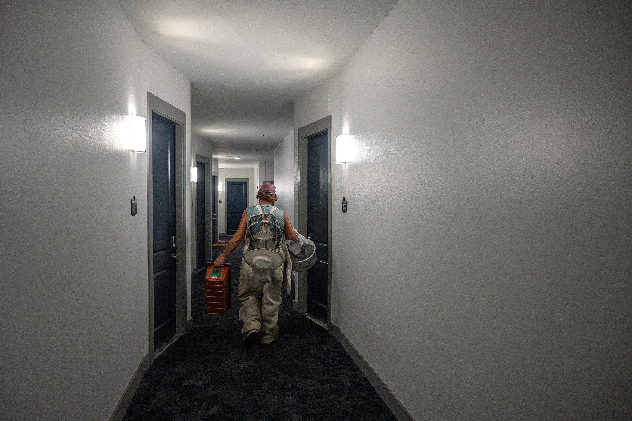 Urban Beekeeping in Dallas by Rockwall Honey Bee Company