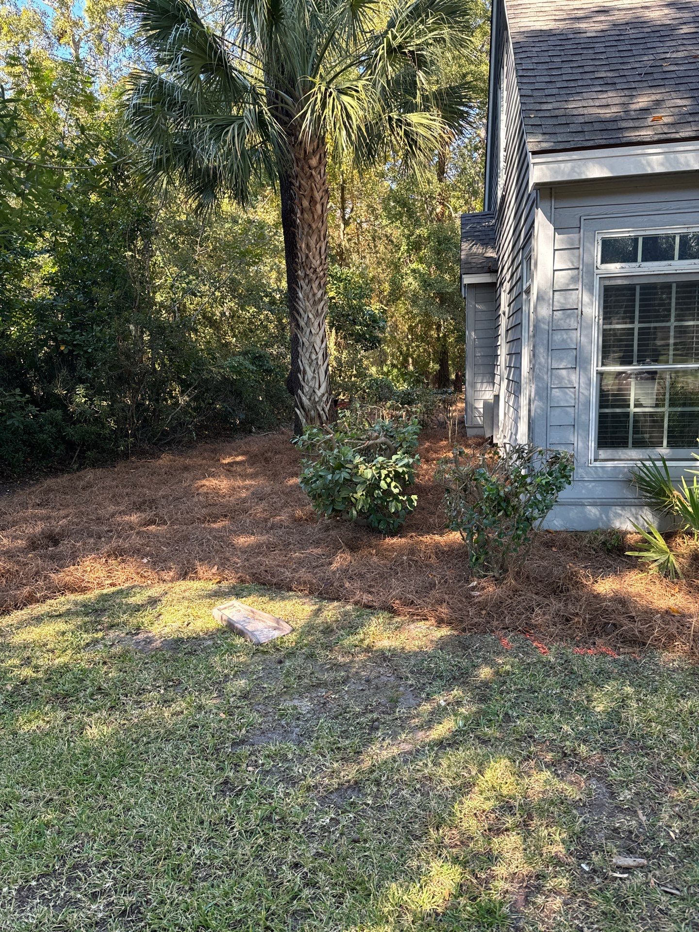 Concrete Walkway Installation and Landscape Refresh in Hilton Head Island by Lowcountry Scapes, LLC