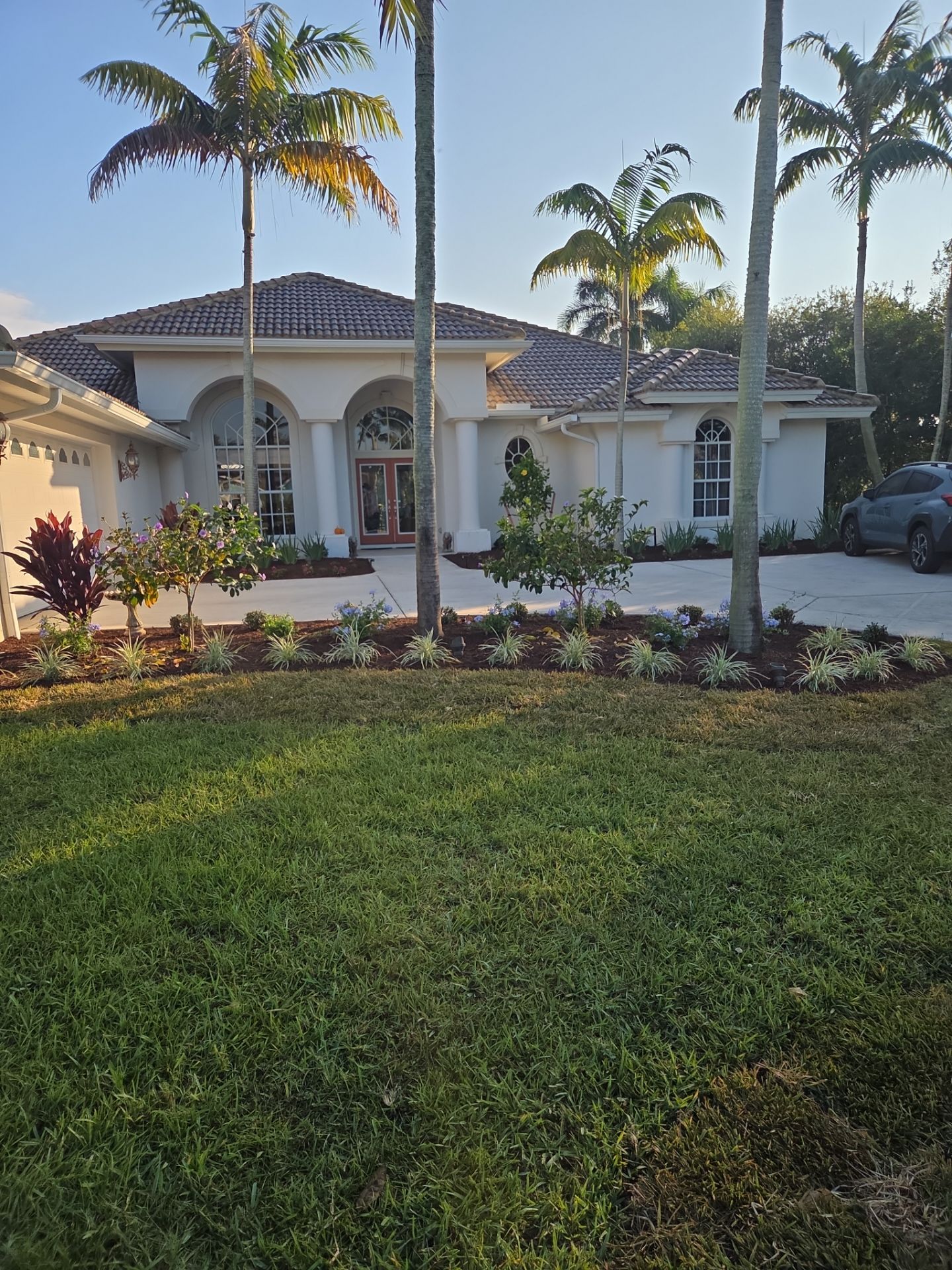 🌴 Landscape Removal and Install in Palm City by Alpha Zeta Enterprises Inc