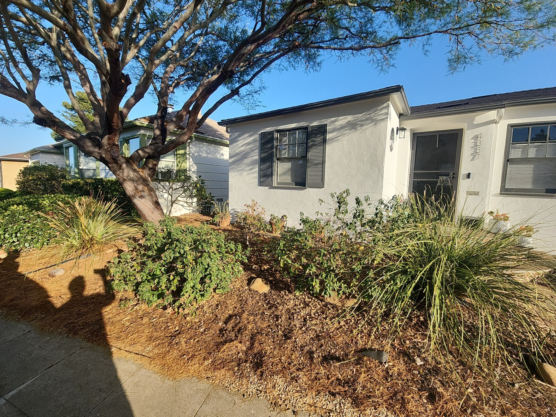 Xeriscape Transformation with River Rock and Irrigation in San Diego by Yard Techs