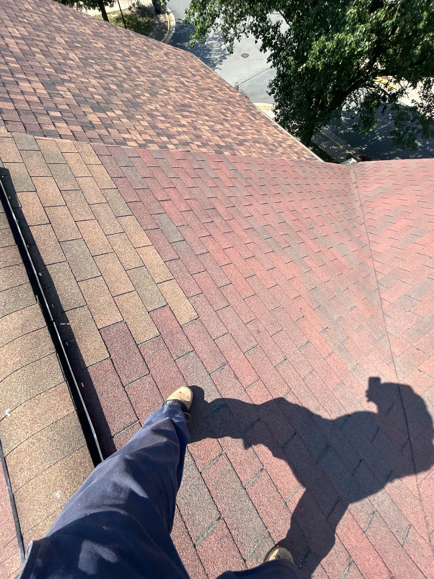 Alexandria: Residential Roof with CertainTeed Landmark Pro in Max Def Burnt Sienna by RM Banning, Inc.