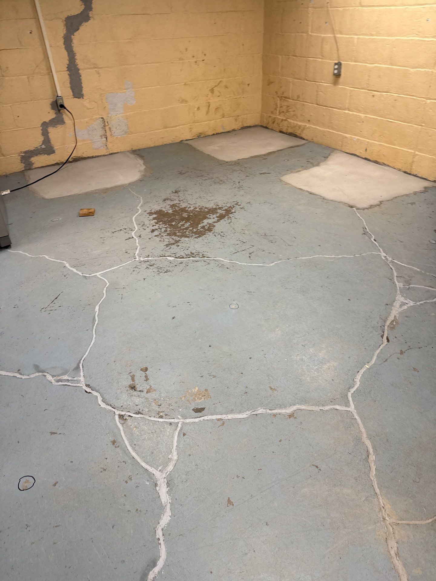 Shoreline Basement Project in Pittsburgh by Floors in a Day, Inc