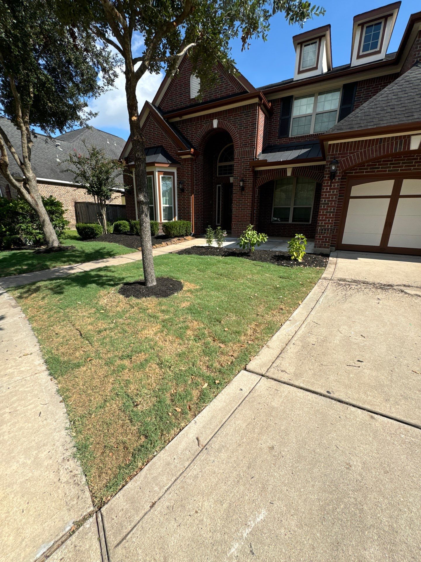 🌿🏡 Project Spotlight: Front Yard Curb Appeal Rescue for Mr. B. Khara by Texas Urban Elements