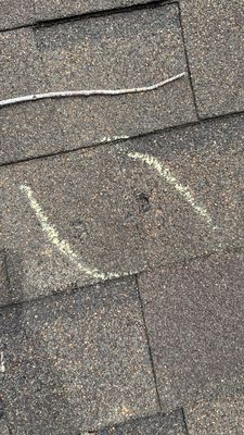 Turtle Shell gutter protection installation in Naperville, IL 60563, photograph 34