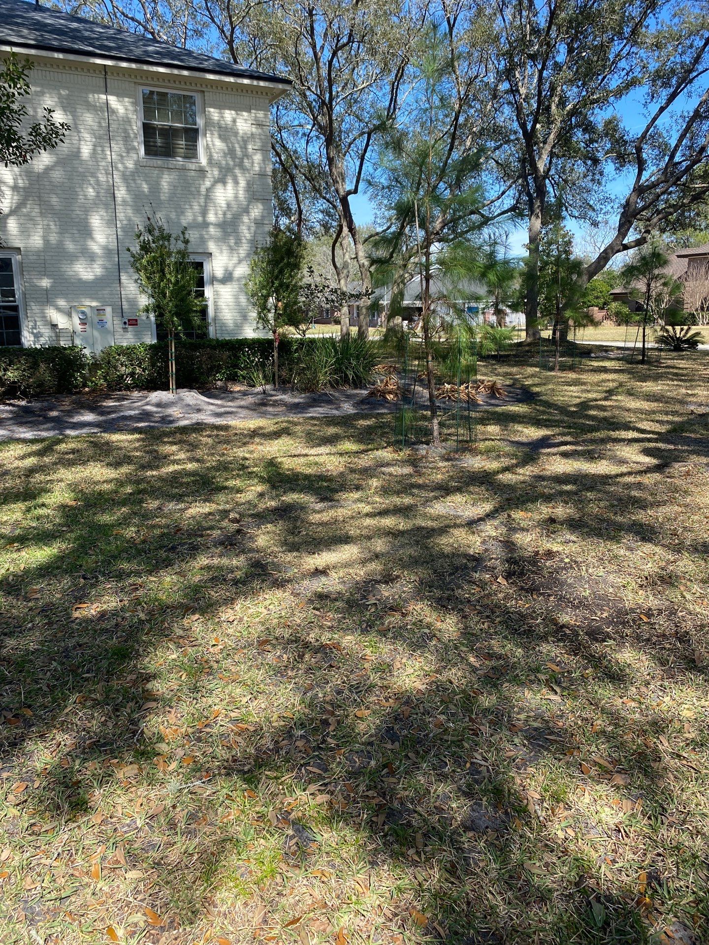 Deerwood Resident | Tree Removal & Install by ProGreen Services