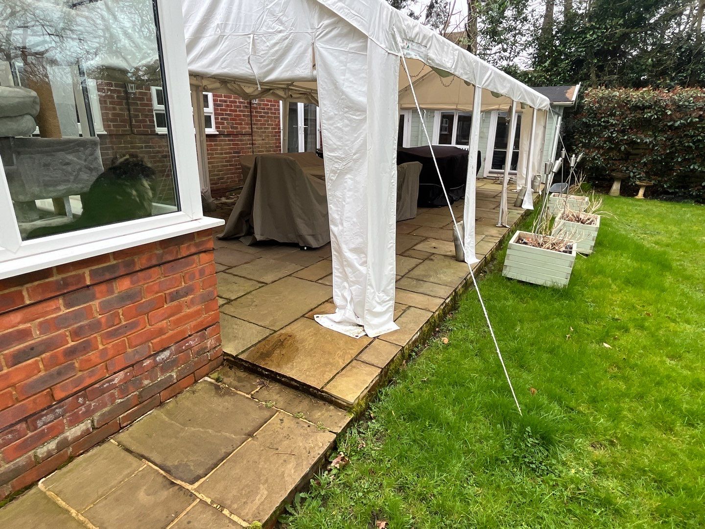 Roof Clean  - Moss Removal - Gutter Clean by Ges Exterior Cleaning ltd