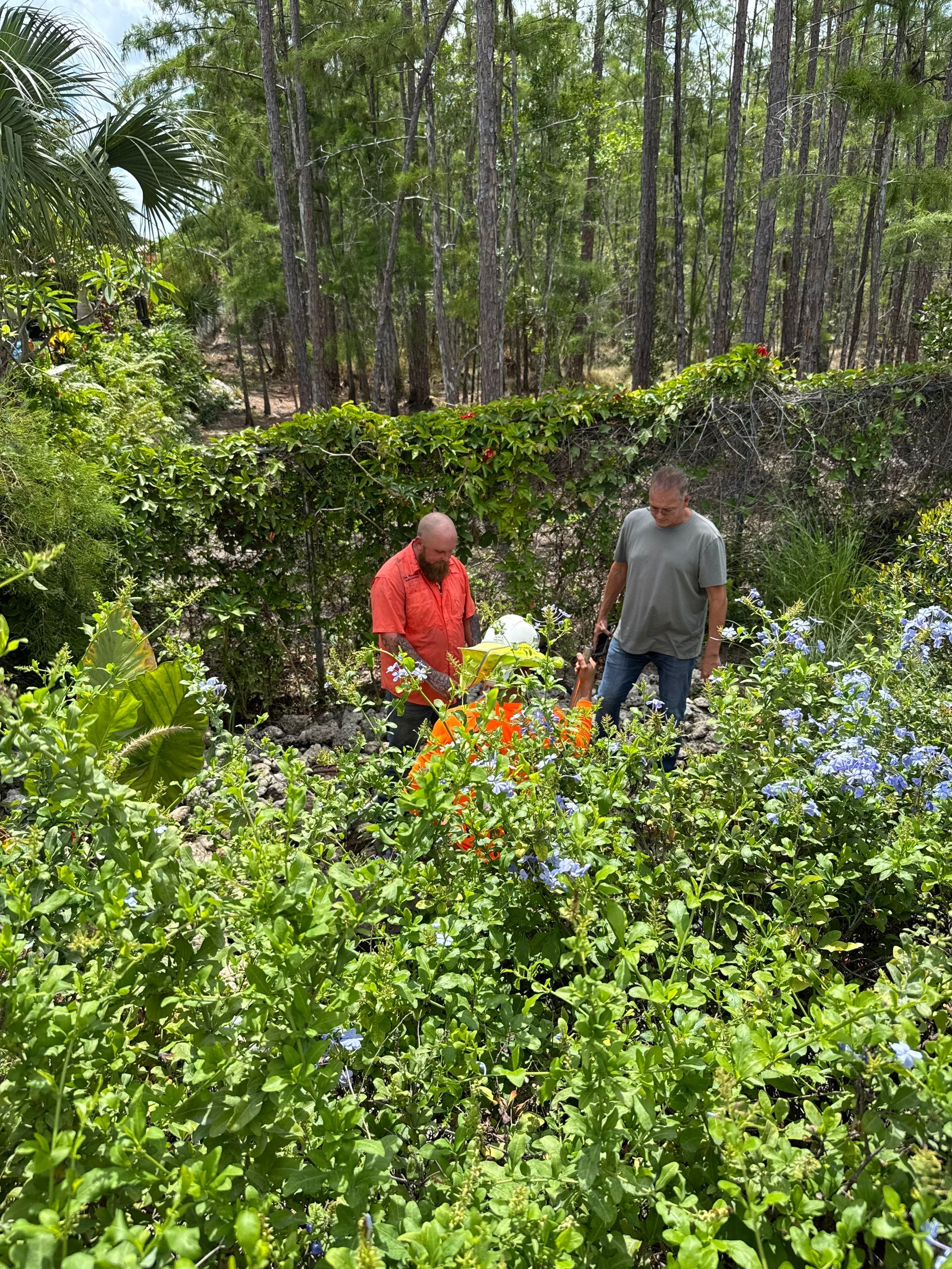 North Naples Community Stormwater Catch Basin Cleaning by APS Power & Water
