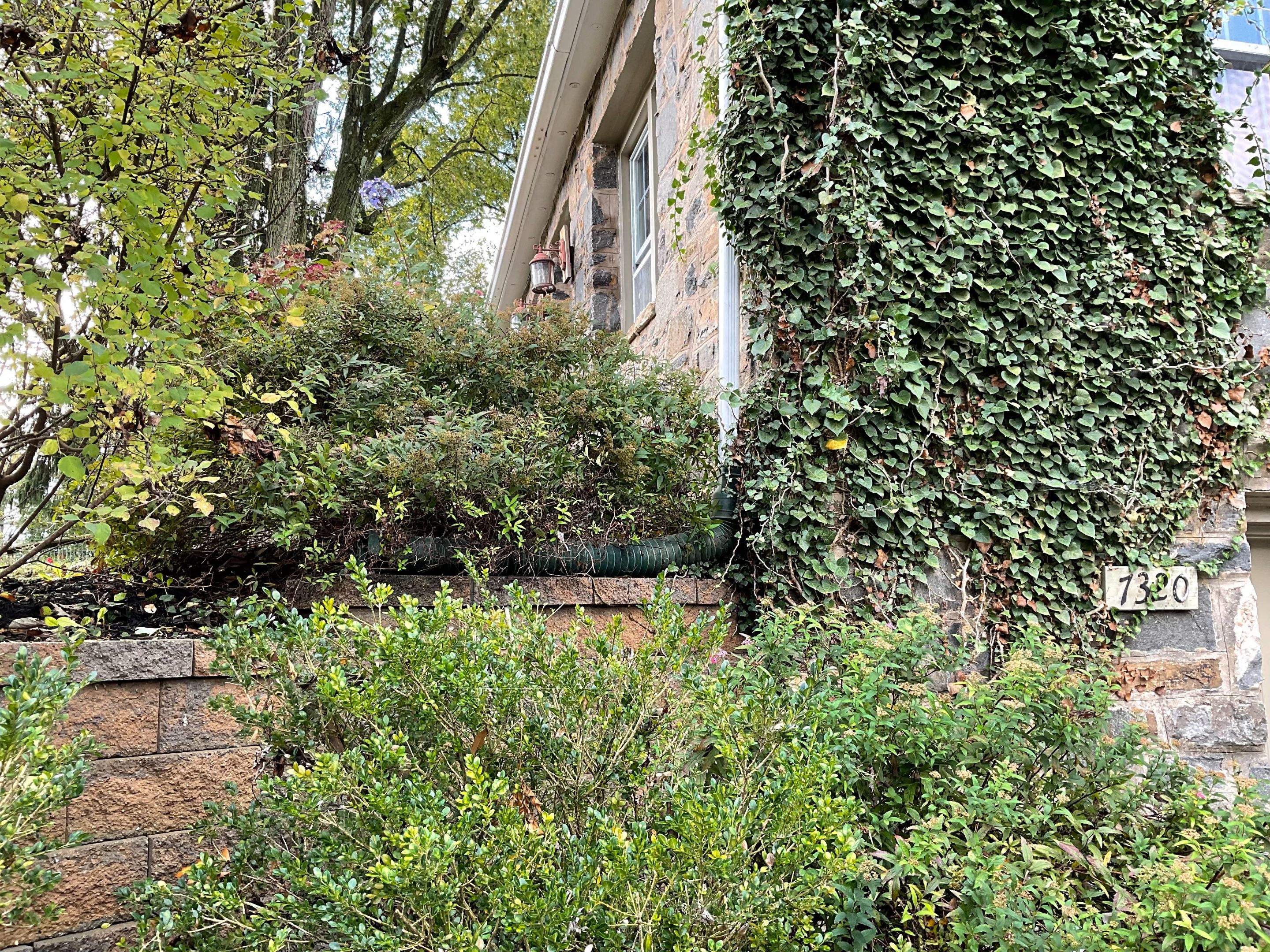 Gutter Installation using 6" Gutters & 3/4 " Downspouts by Alpha Design Services
