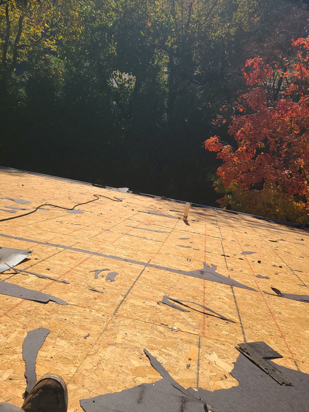 Alexandria: Residential Roof Replacement with CertainTeed Landmark Pro Designer Shingles in Max Def Moire Black by RM Banning, Inc.