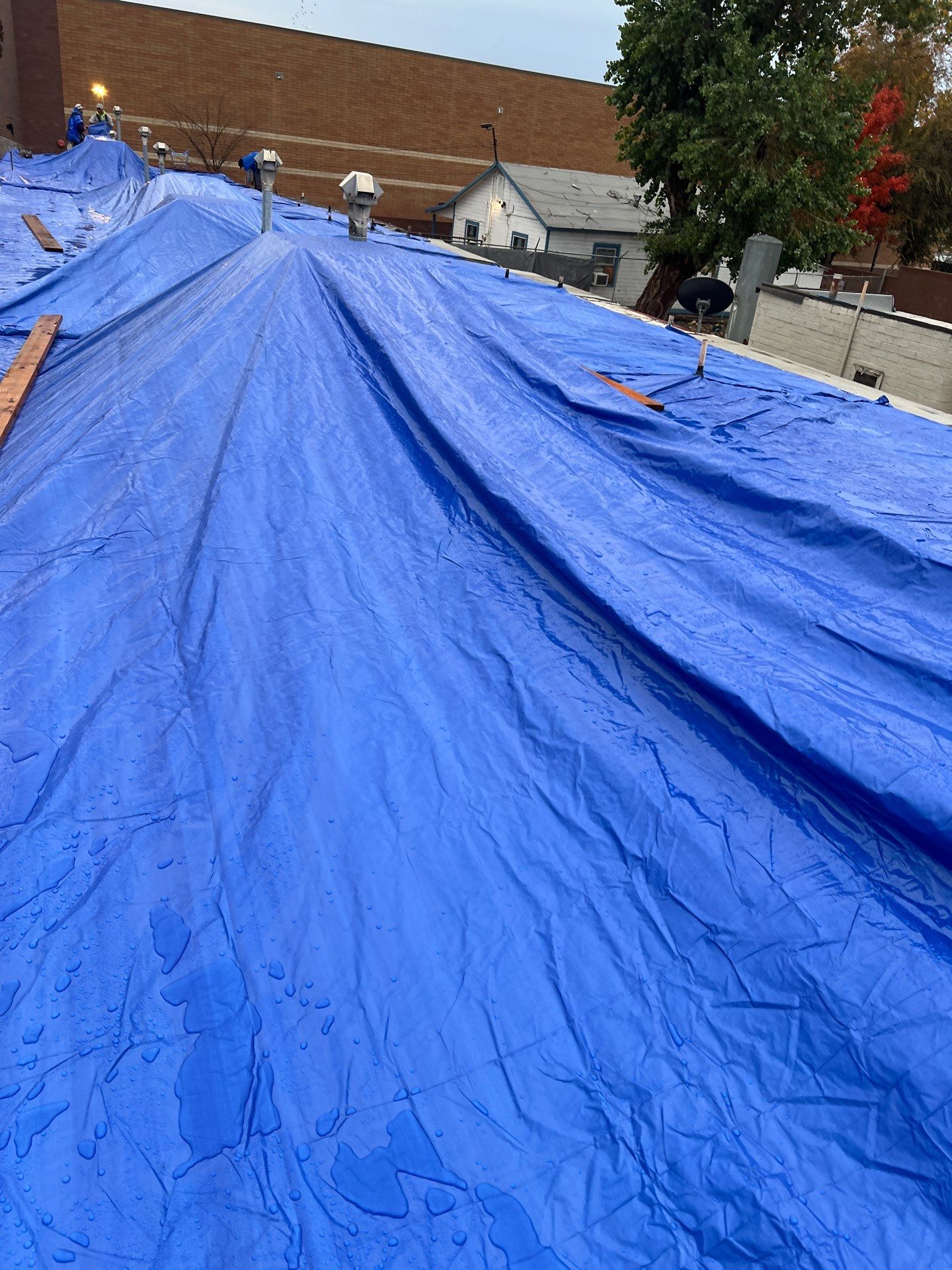Emergency Roof Tarp Service - Fresno, CA by Grandmark Service Company