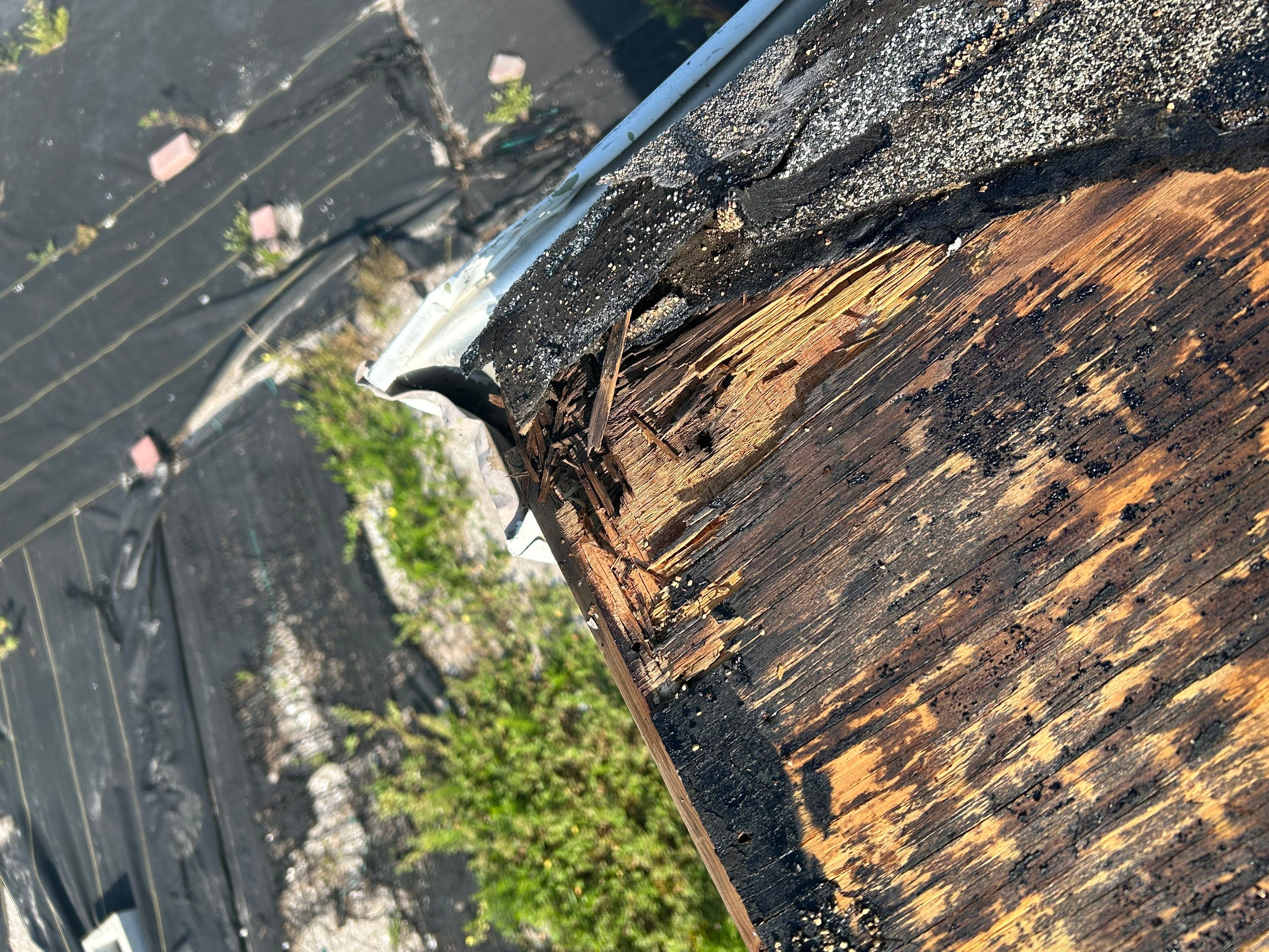 Project in St. Petersburg 33709 by Mitchell Roofing Company LLC 
