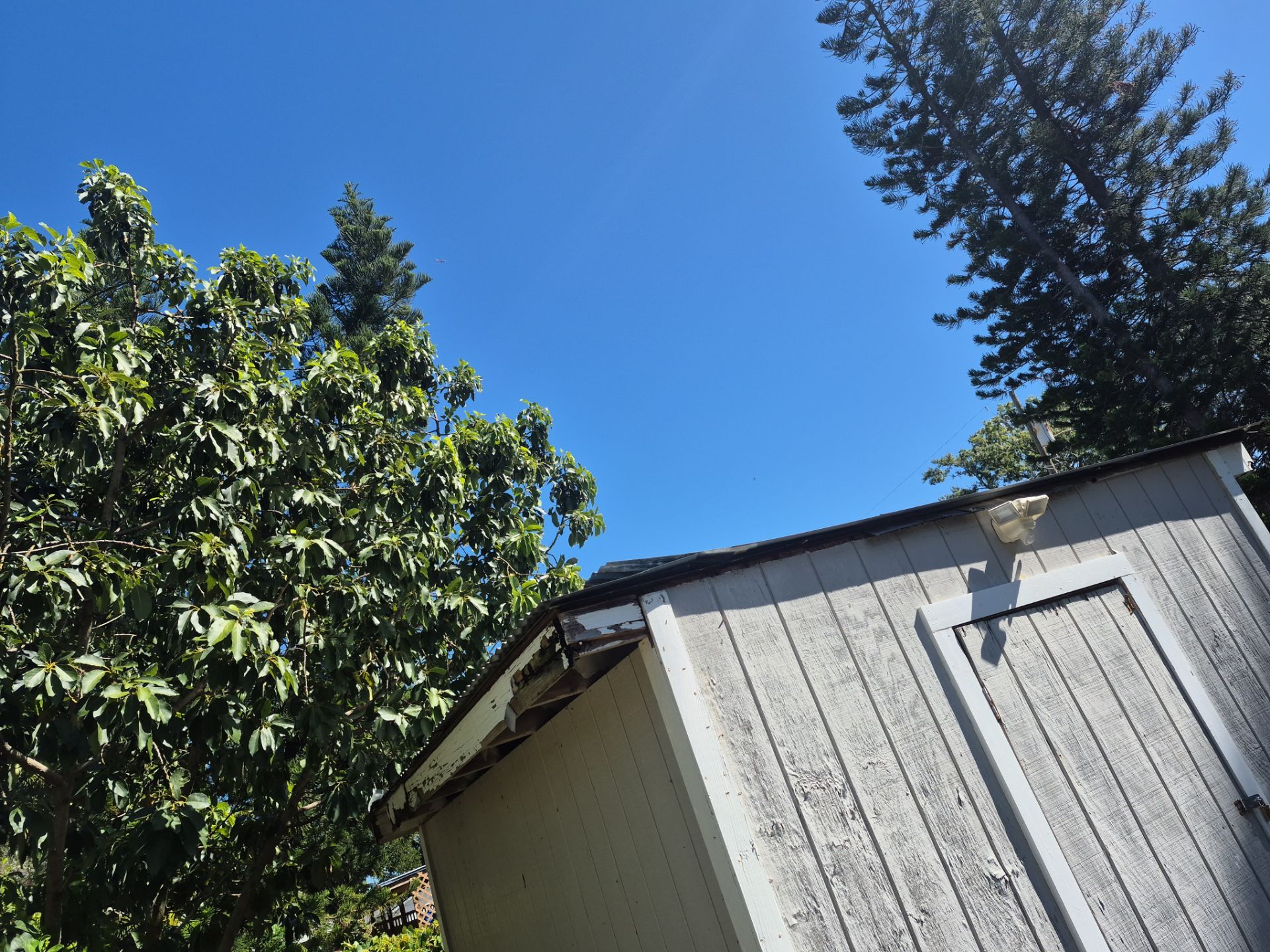 Project in Tampa 33612 by Mitchell Roofing Company LLC