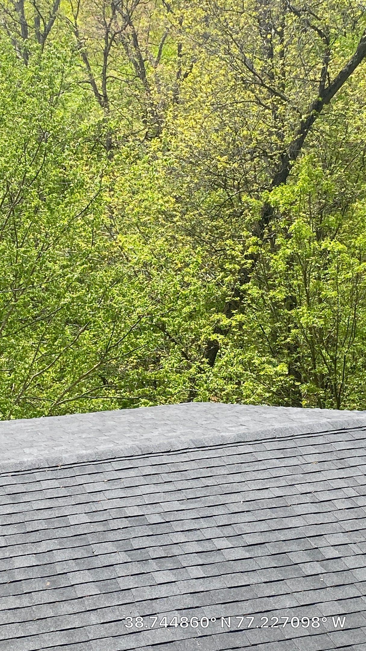 Springfield: CertainTeed Landmark Pro Designer Shingles in Max Def Charcoal Black by RM Banning, Inc.