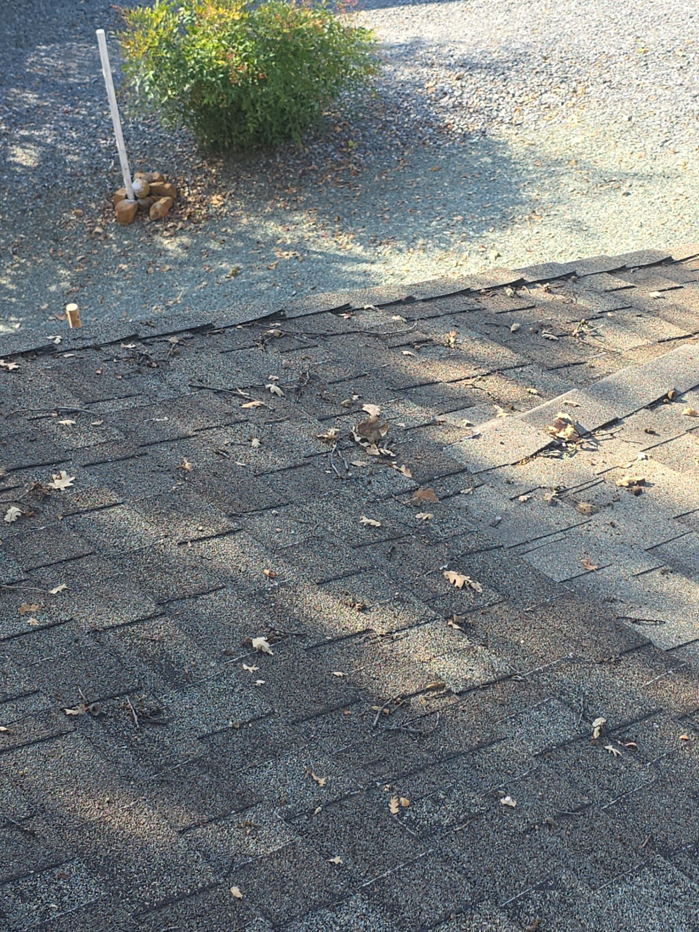 Roof Rejuvenation using Roof Maxx Treatment by Roof Maxx of Folsom