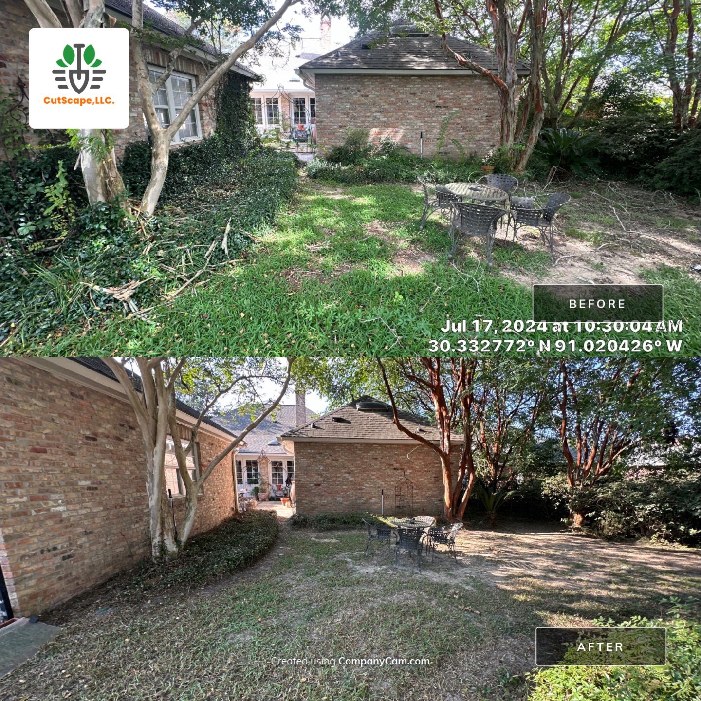 LANDSCAPE SERVICES: CLEAN OUT / TRIM / BRUSH DEBRIS REMOVAL by CutScape, LLC.