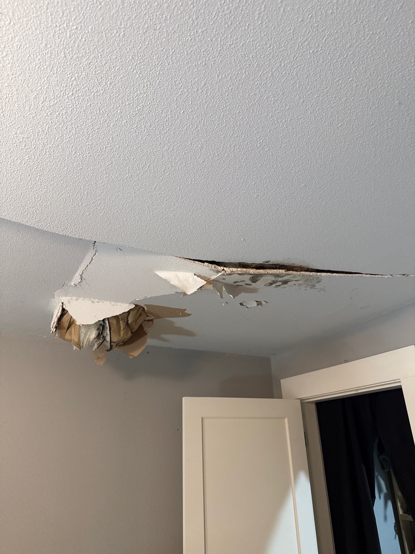 Fallen Tree Interior/ Exterior repair in Milwaukie by American Made Construction
