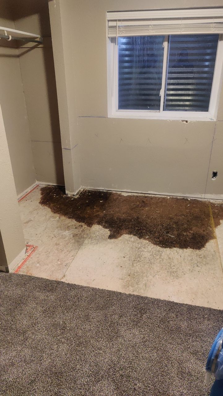 Water Damage Restoration by Accountable Home Services