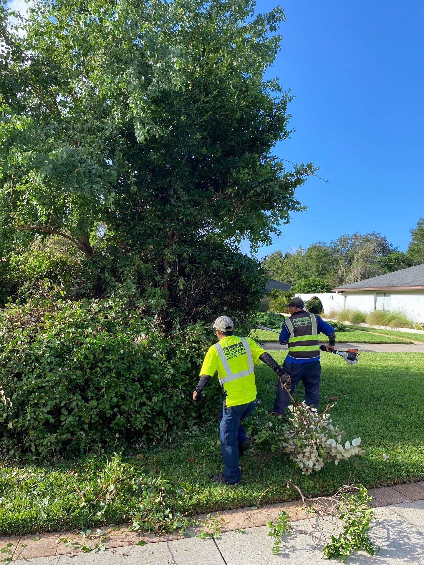 Deerwood Residence | Extreme Clean Up by ProGreen Services