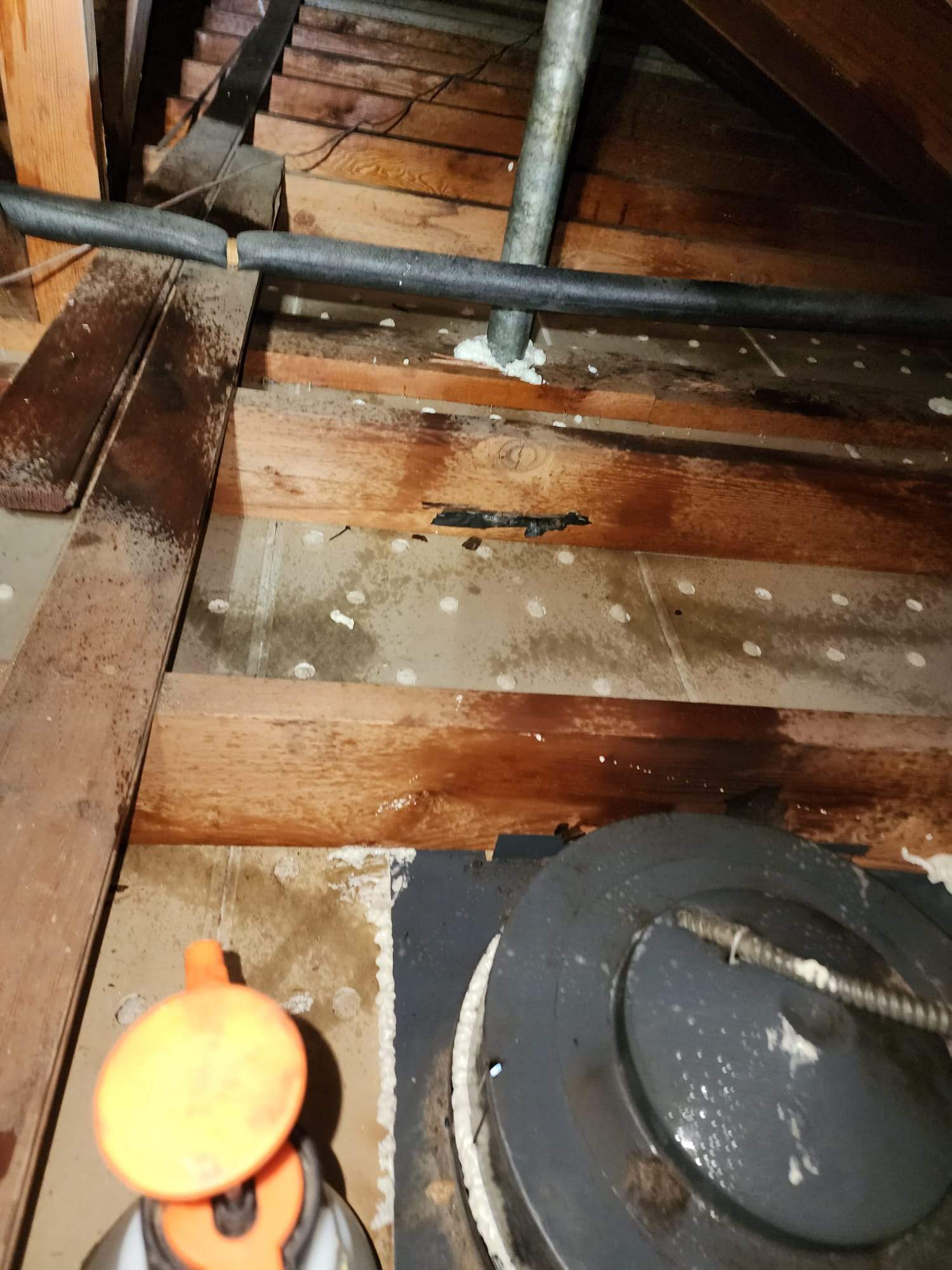 Project by Advanced Attic Solutions by Advanced Attic Solutions