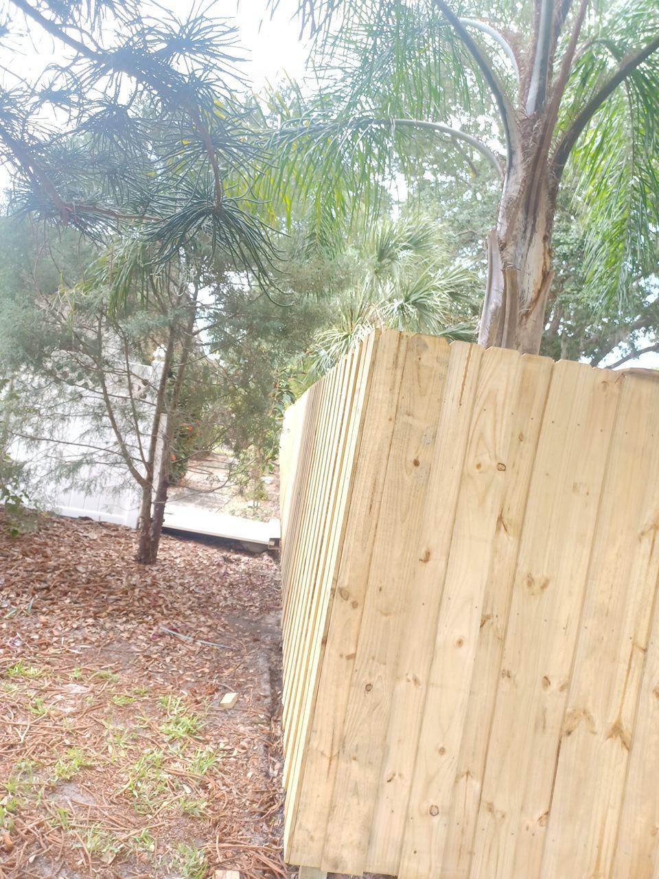 Sarasota, FL 6ft. Tall Treated Board on Board Wood Fence by Asap fence and gates, LLC