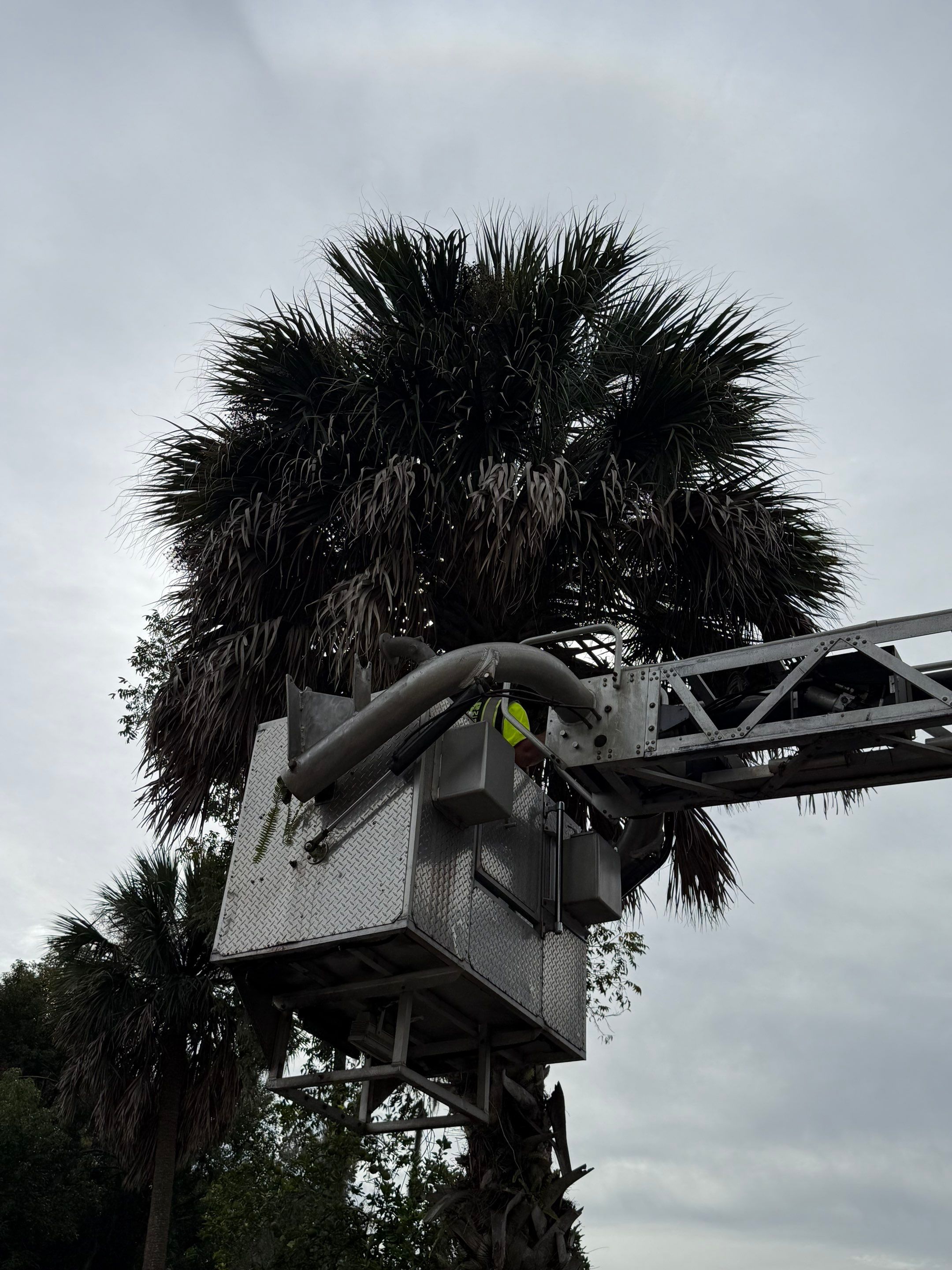 Volunteer Work | Episcopal High School of Jacksonville by ProGreen Services