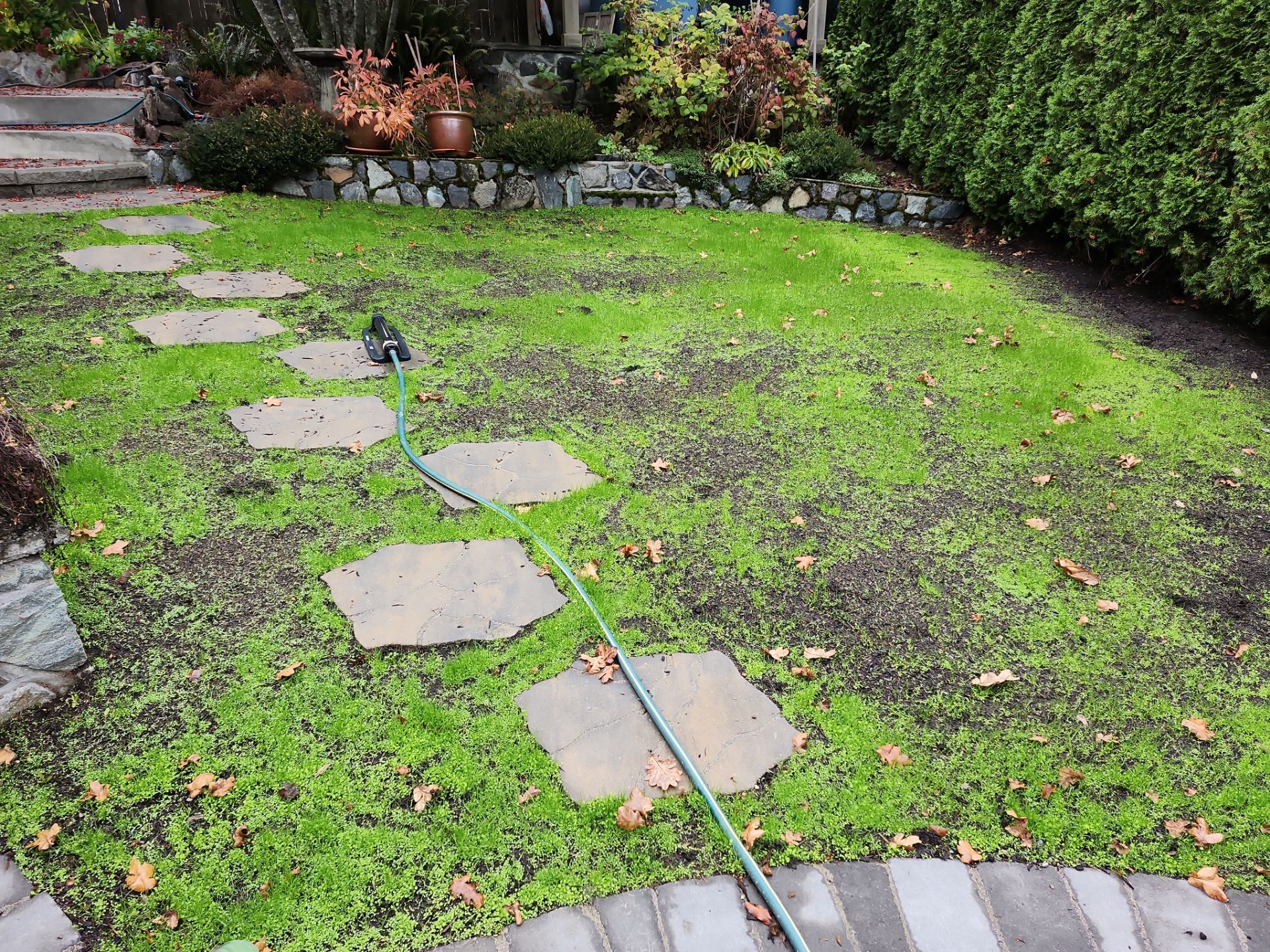 Complete Landscape Transformation - Esquimalt, BC by Habanero Garden and Exterior Care