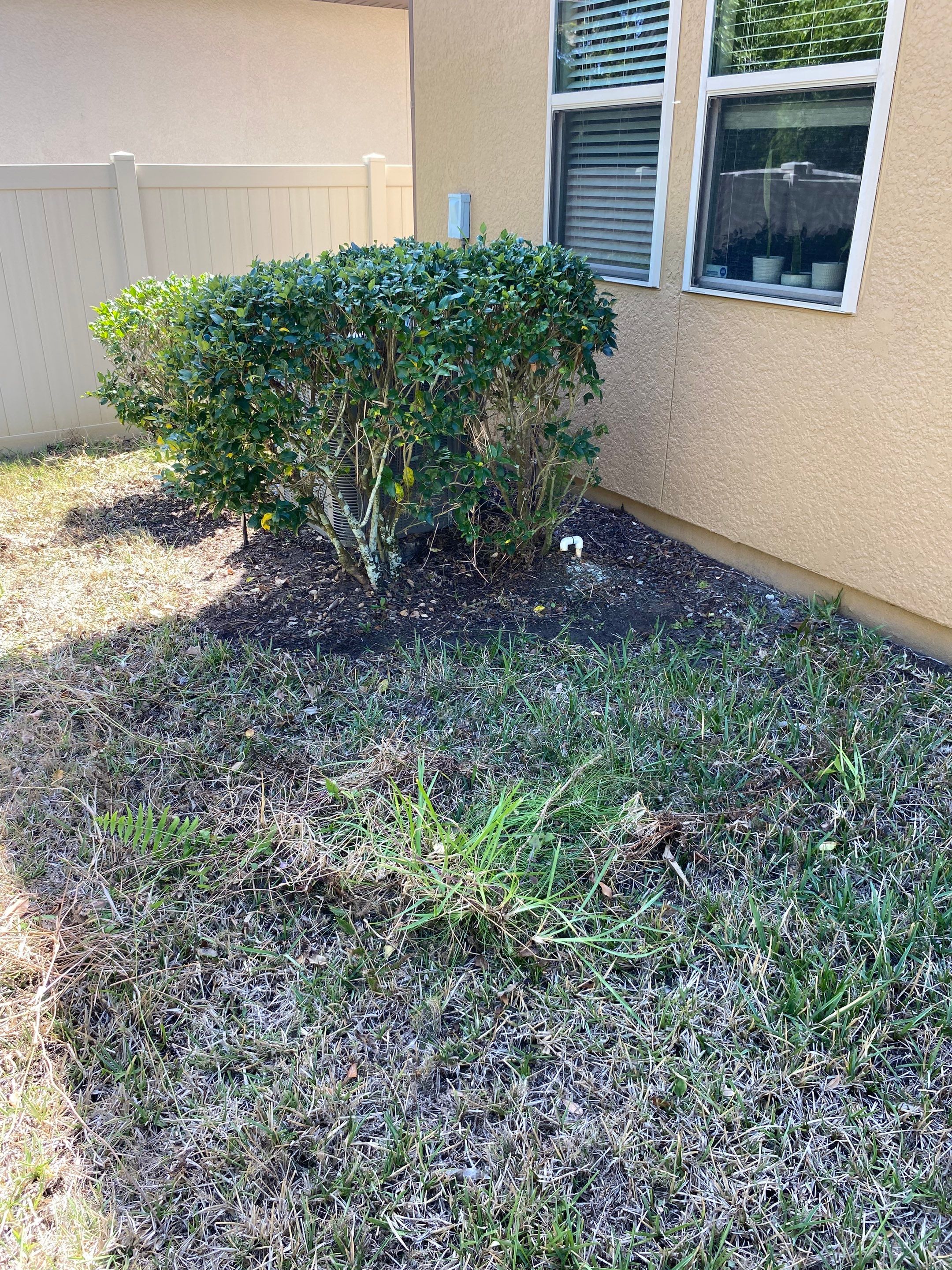 Residential | Mulch and Soil Installation by ProGreen Services