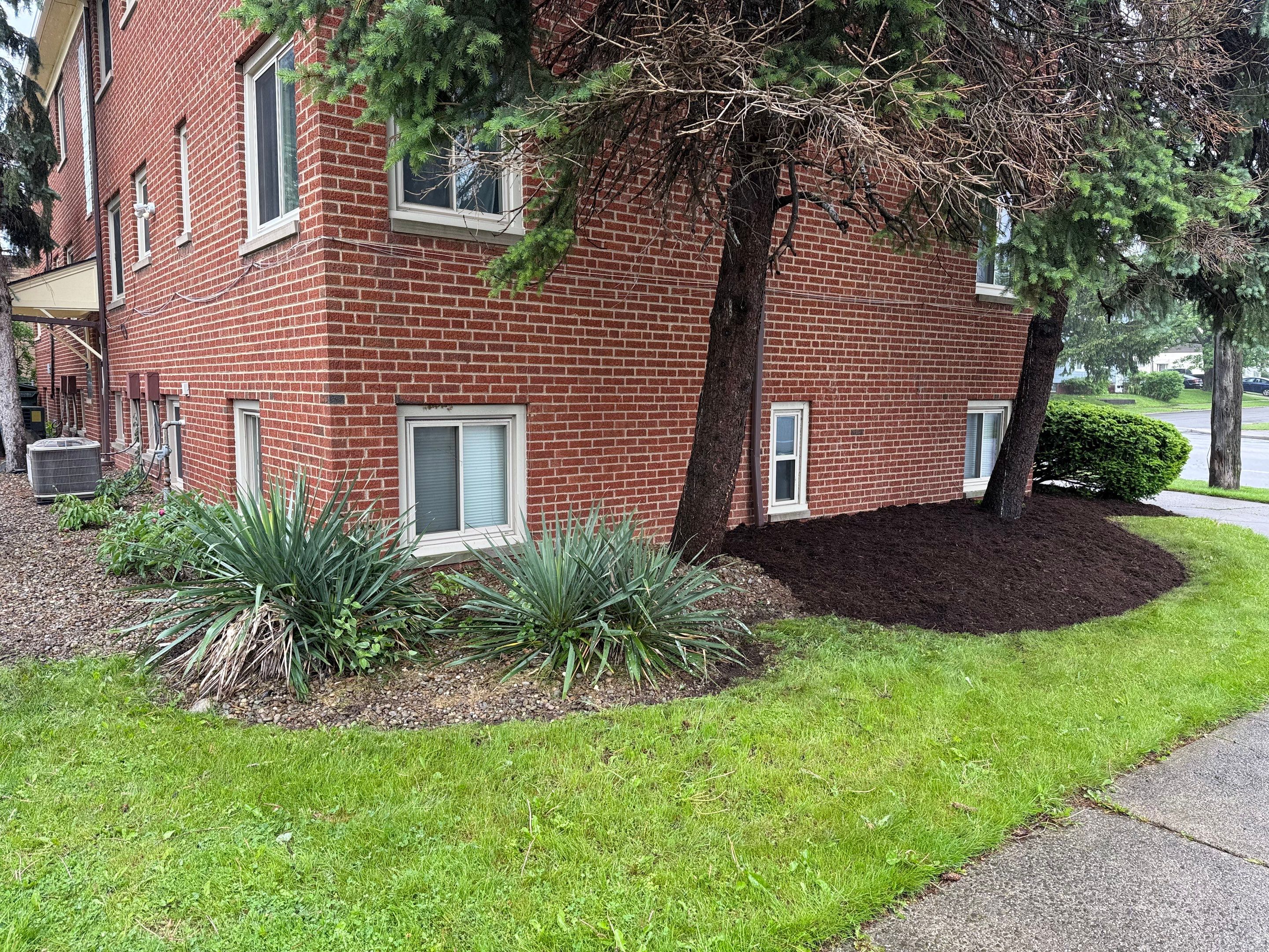 State Apartment Maintenance by Elm Rose Gardens