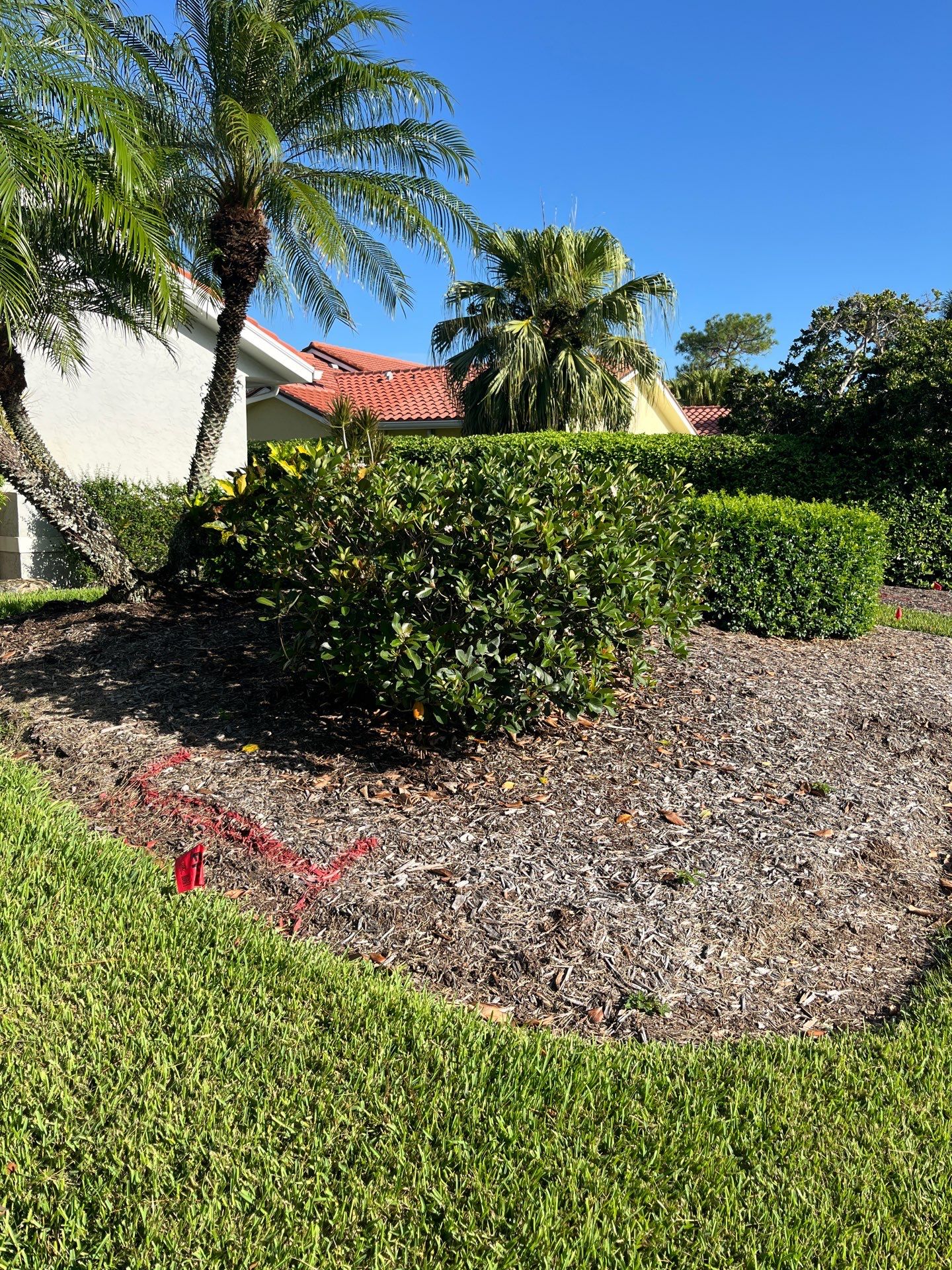 🌴 “Harbour Ridge Haven – A Tropical Revival by Alpha Zeta Landscapes” by Alpha Zeta Enterprises Inc