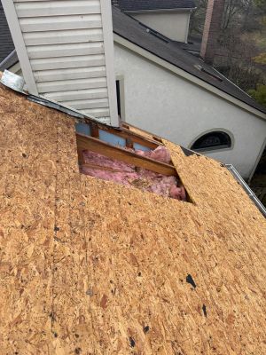 sometimes gutters need a roof