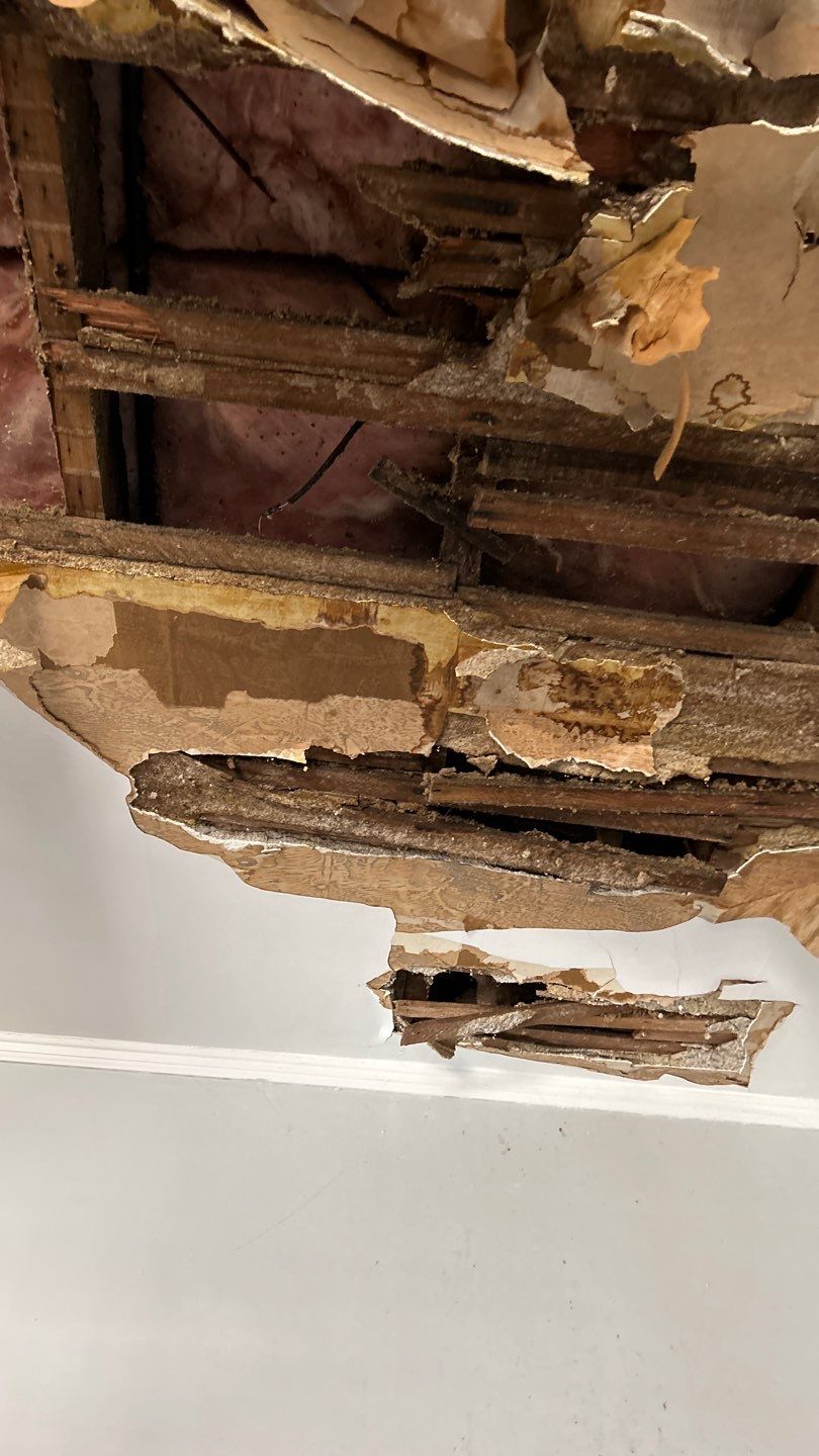 Fire Damage  by Accountable Home Services
