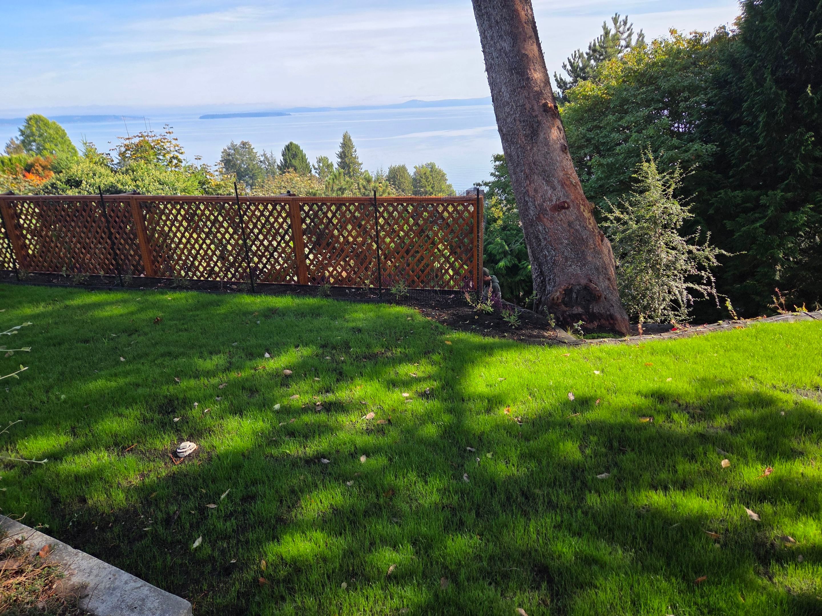Georgia Park Terrace — Living Slope Transformation by Habanero Landscape Solutions