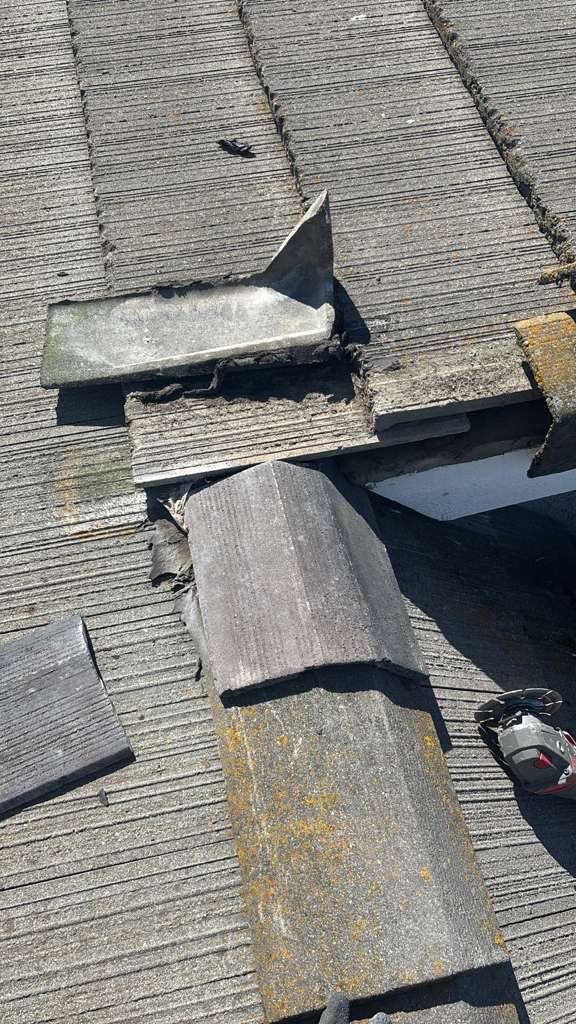 Project in Elk Grove  by NuLead Construction Inc