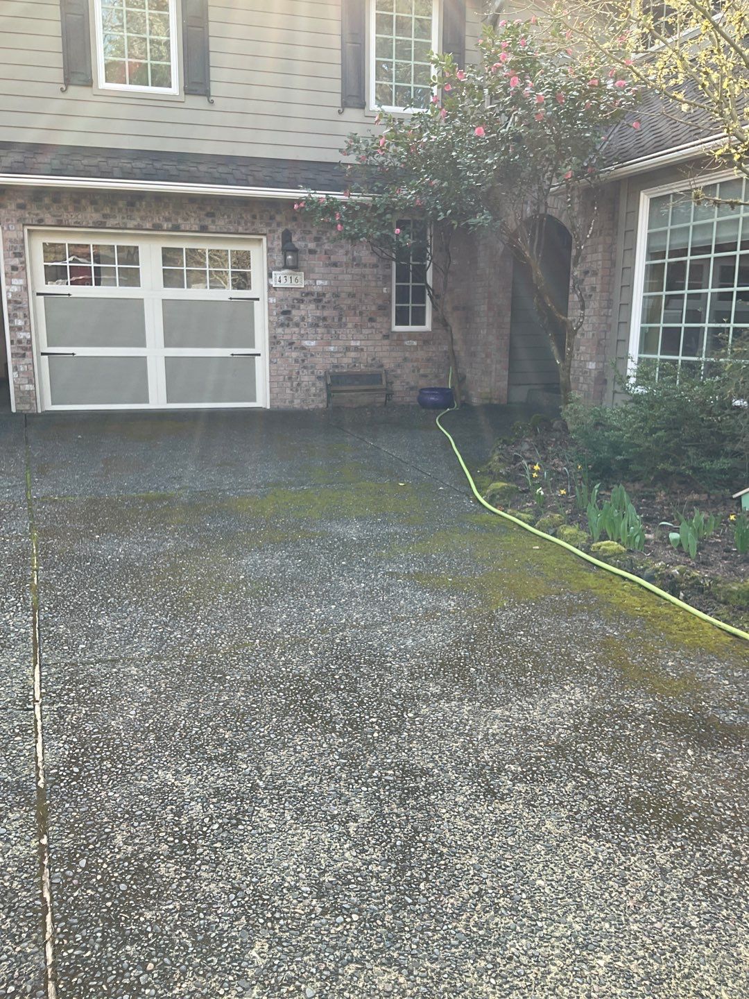 Roof Treatment and Driveway Wash Using Biocide by Willamette Outdoor Wash LLC