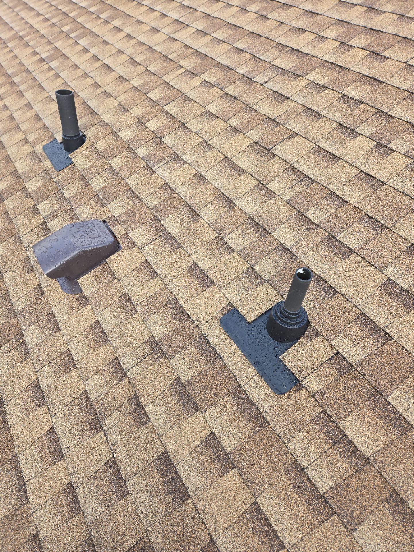 Residential Reroof Shingle - Shakewood by Top Notch Roofing Inc