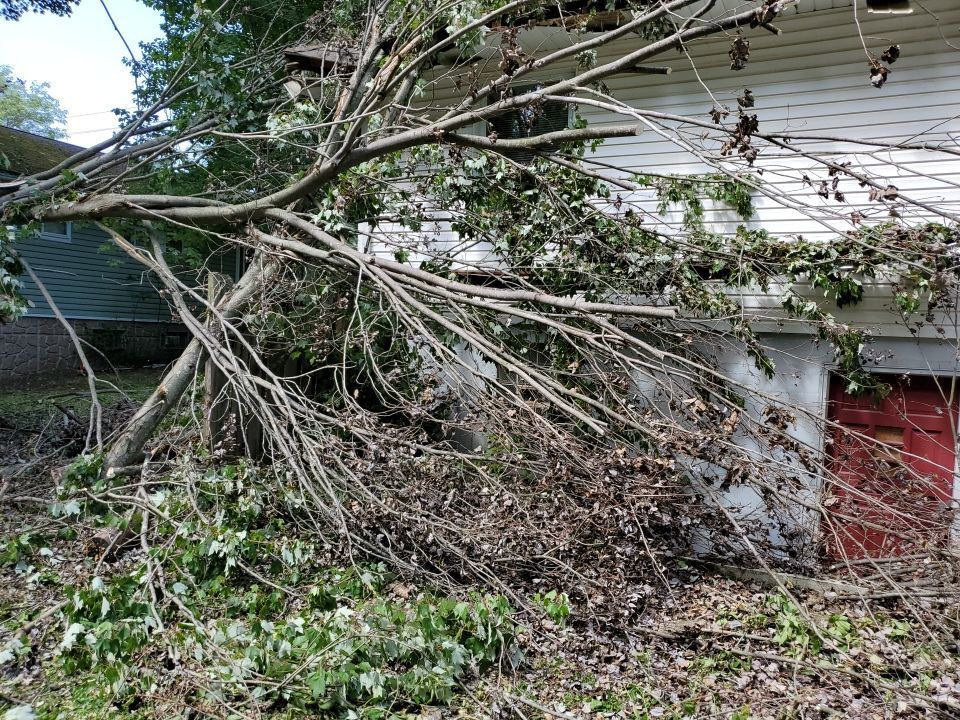 Storm Damaged Tree Removal  by Mike Jones & Sons Tree Service LLC 